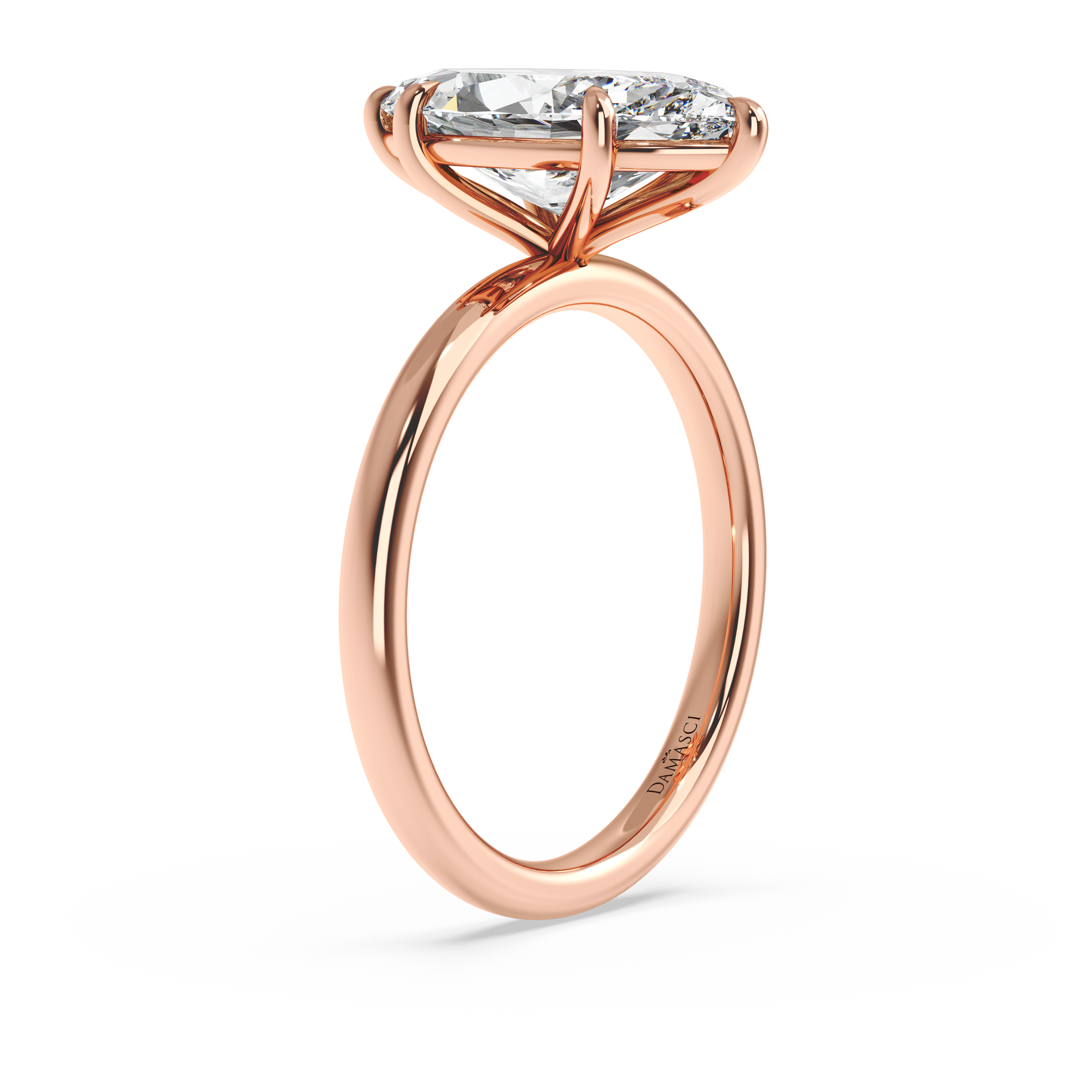 rose-marquise