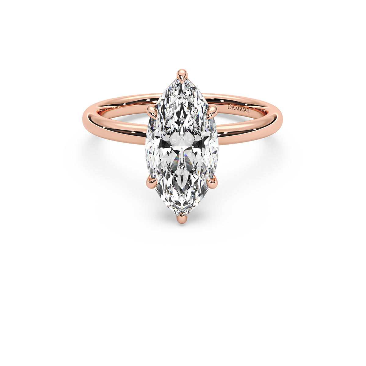 rose-marquise