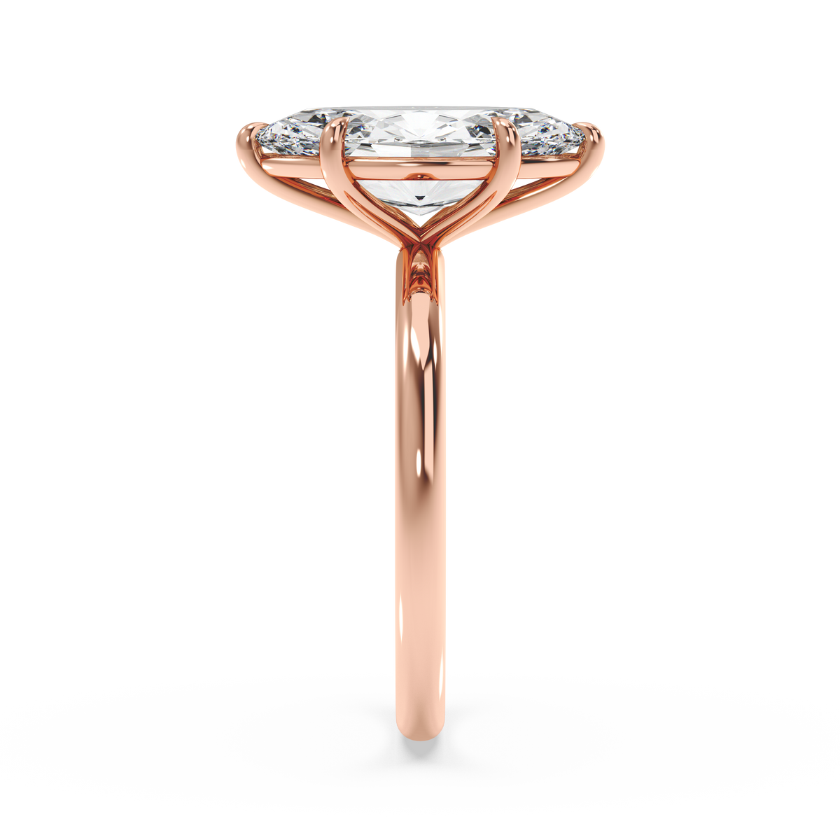 rose-marquise