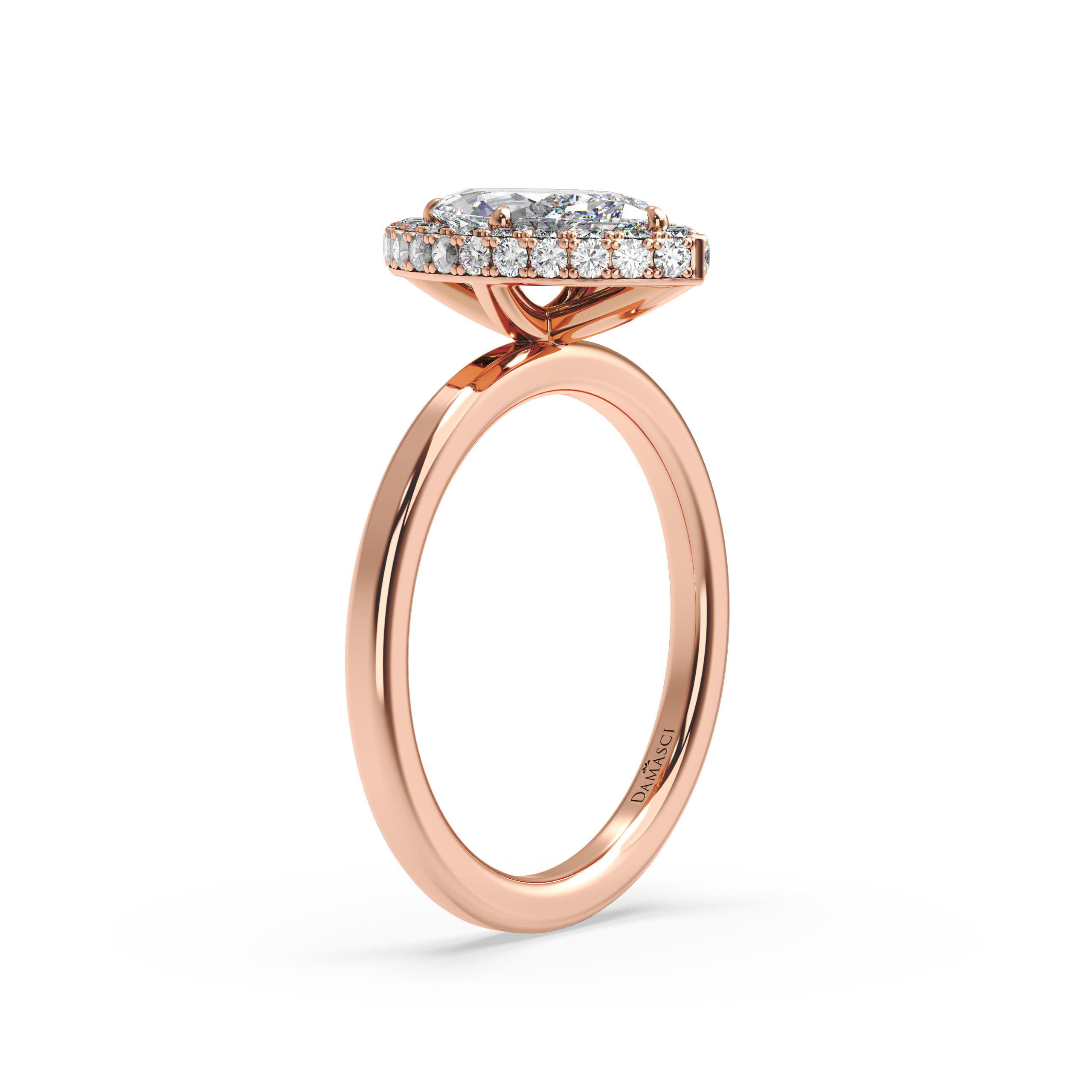rose-marquise