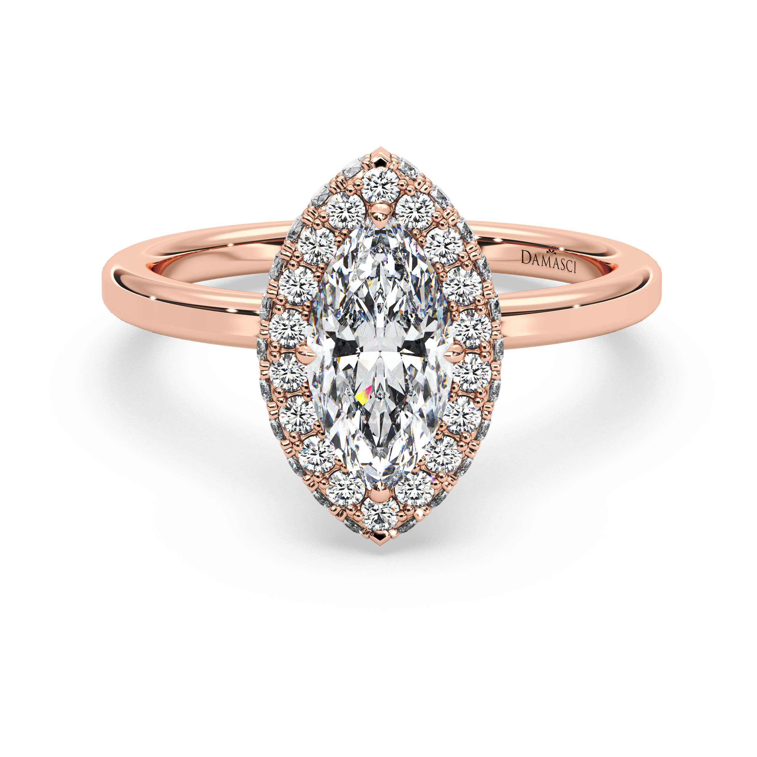 rose-marquise