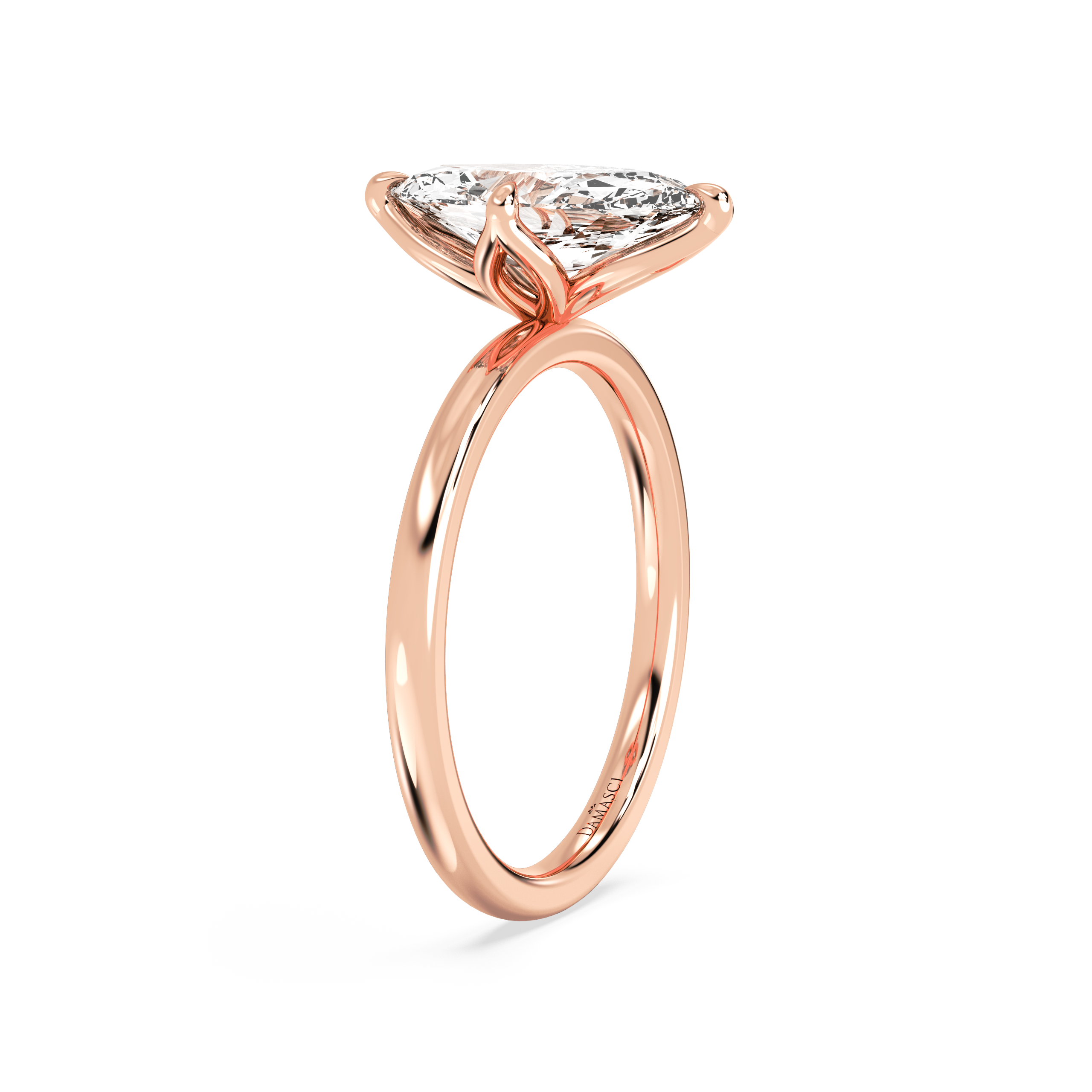 rose-marquise