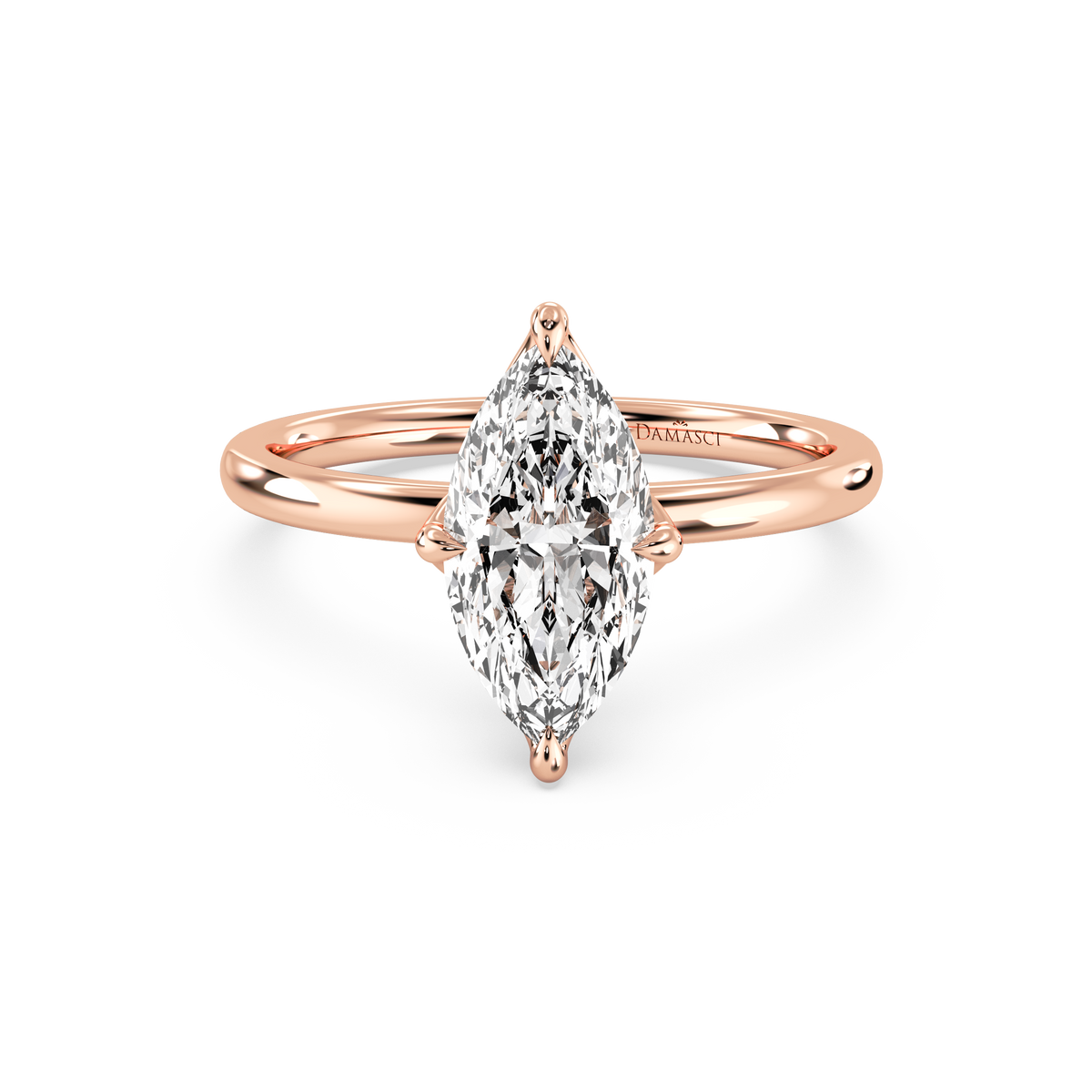 rose-marquise