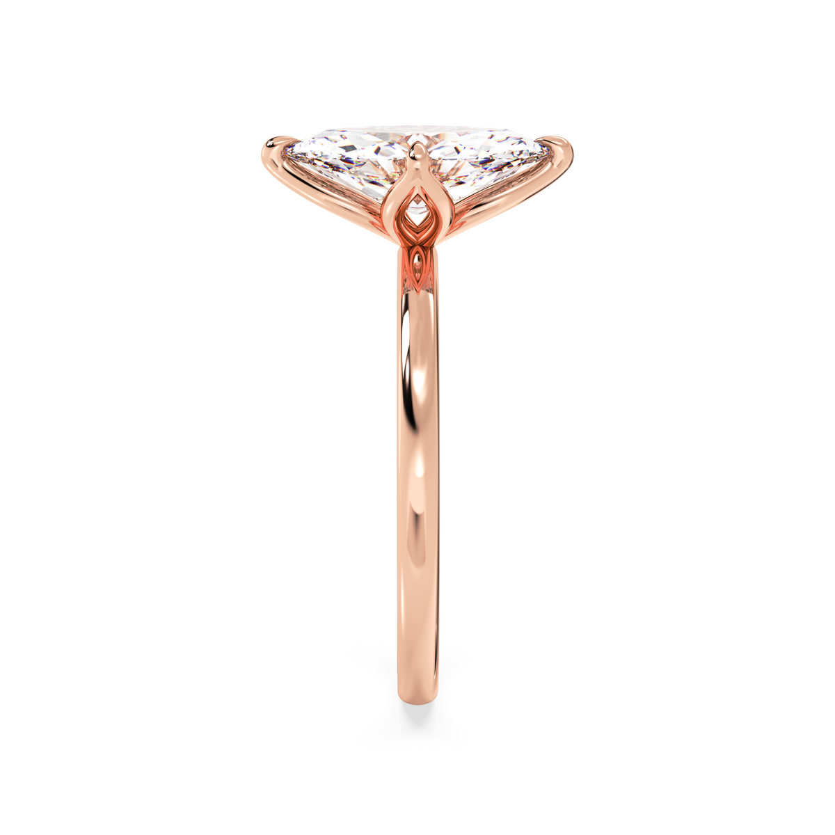 rose-marquise