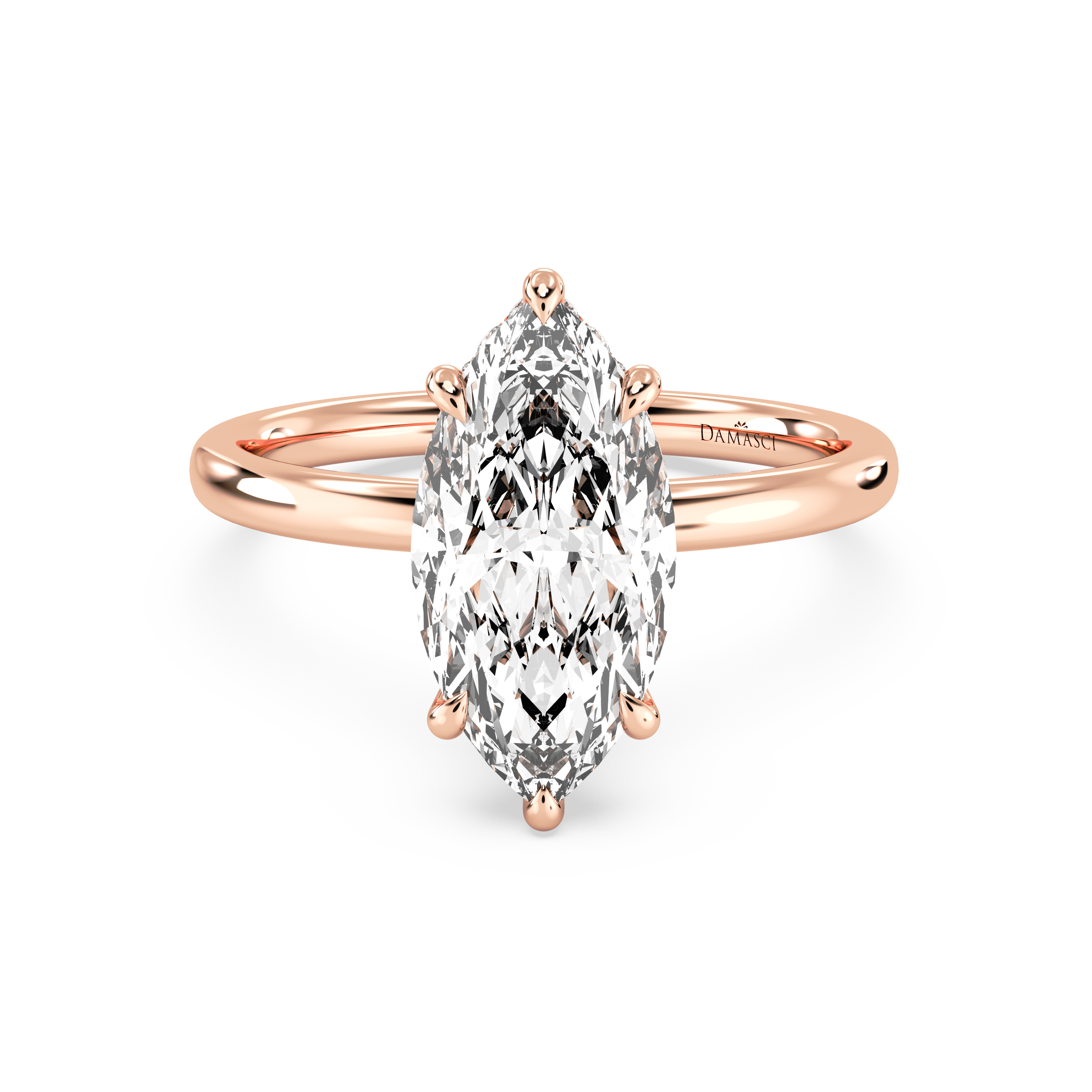 rose-marquise