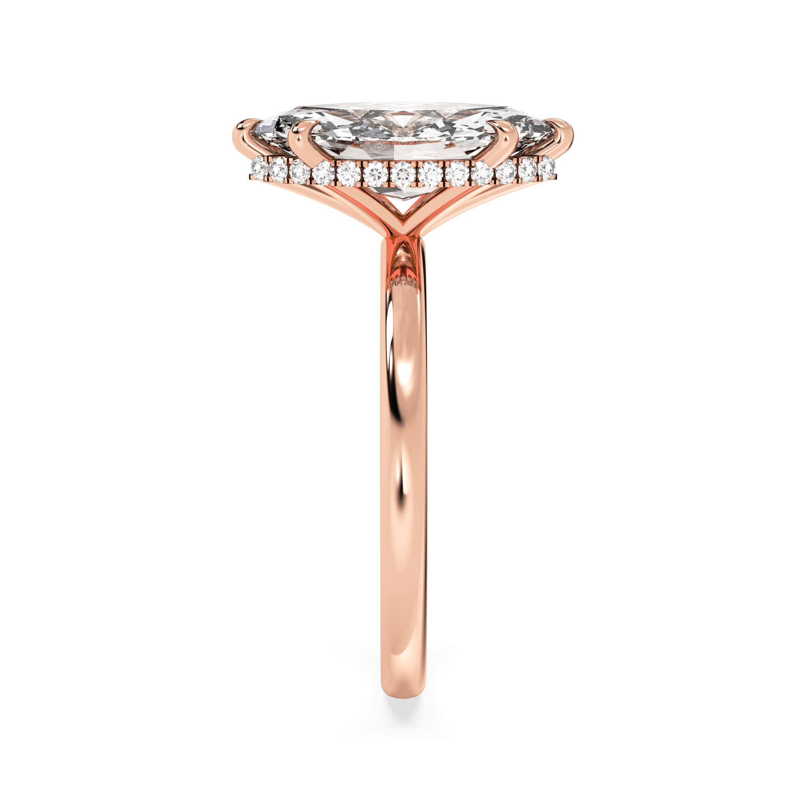 rose-marquise