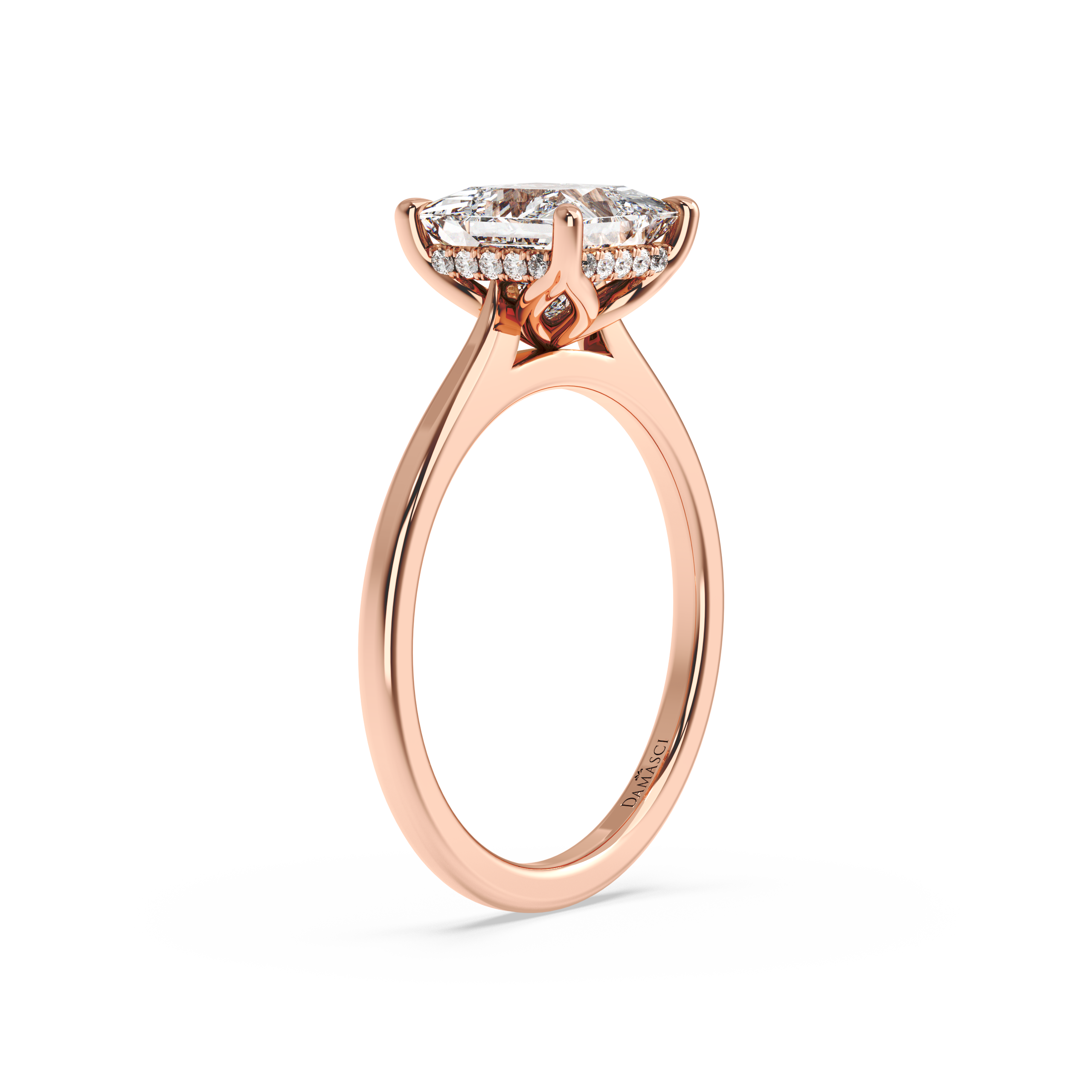 rose-princess