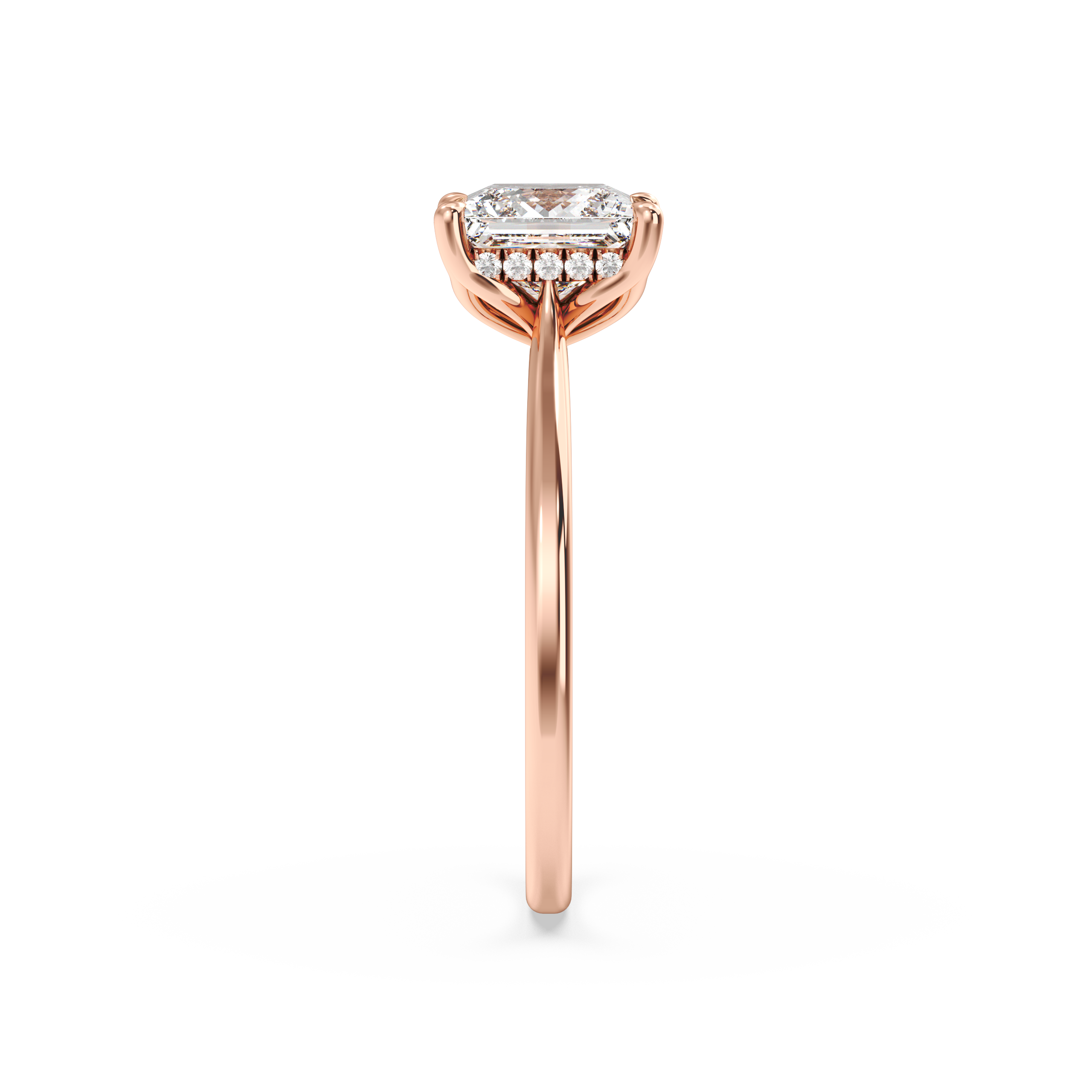 rose-princess