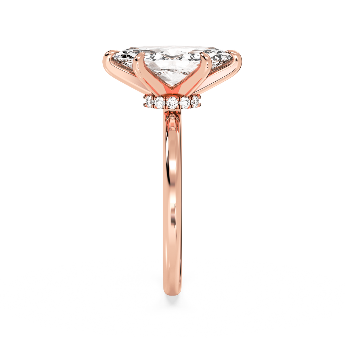 rose-marquise