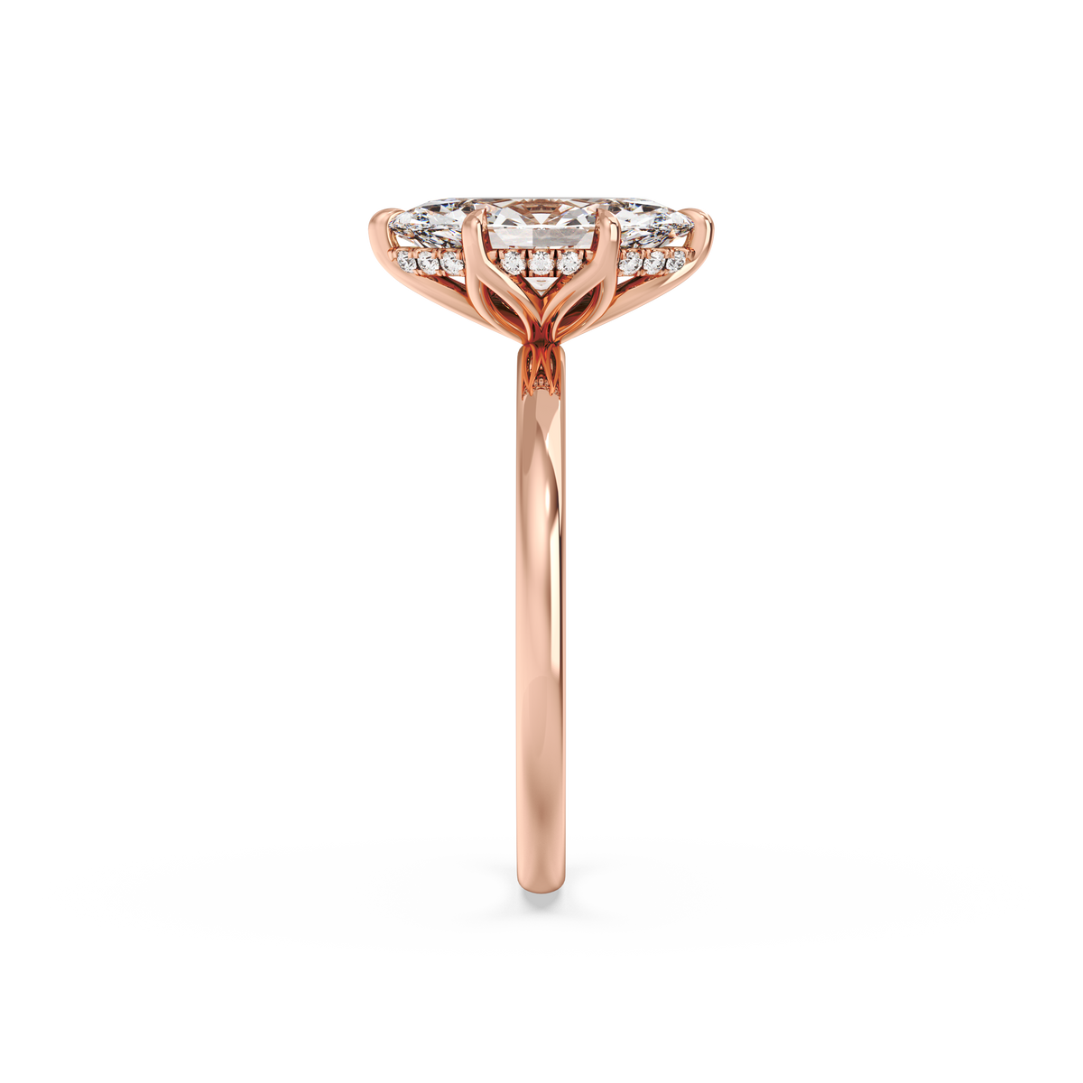 rose-marquise