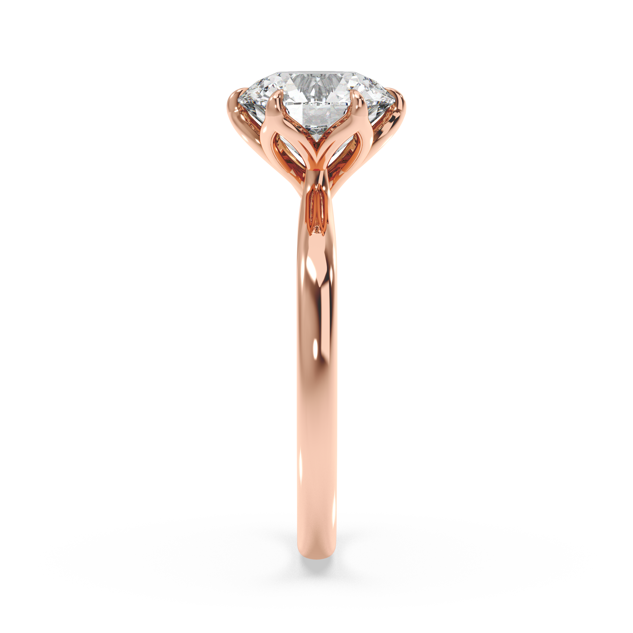 rose-round
