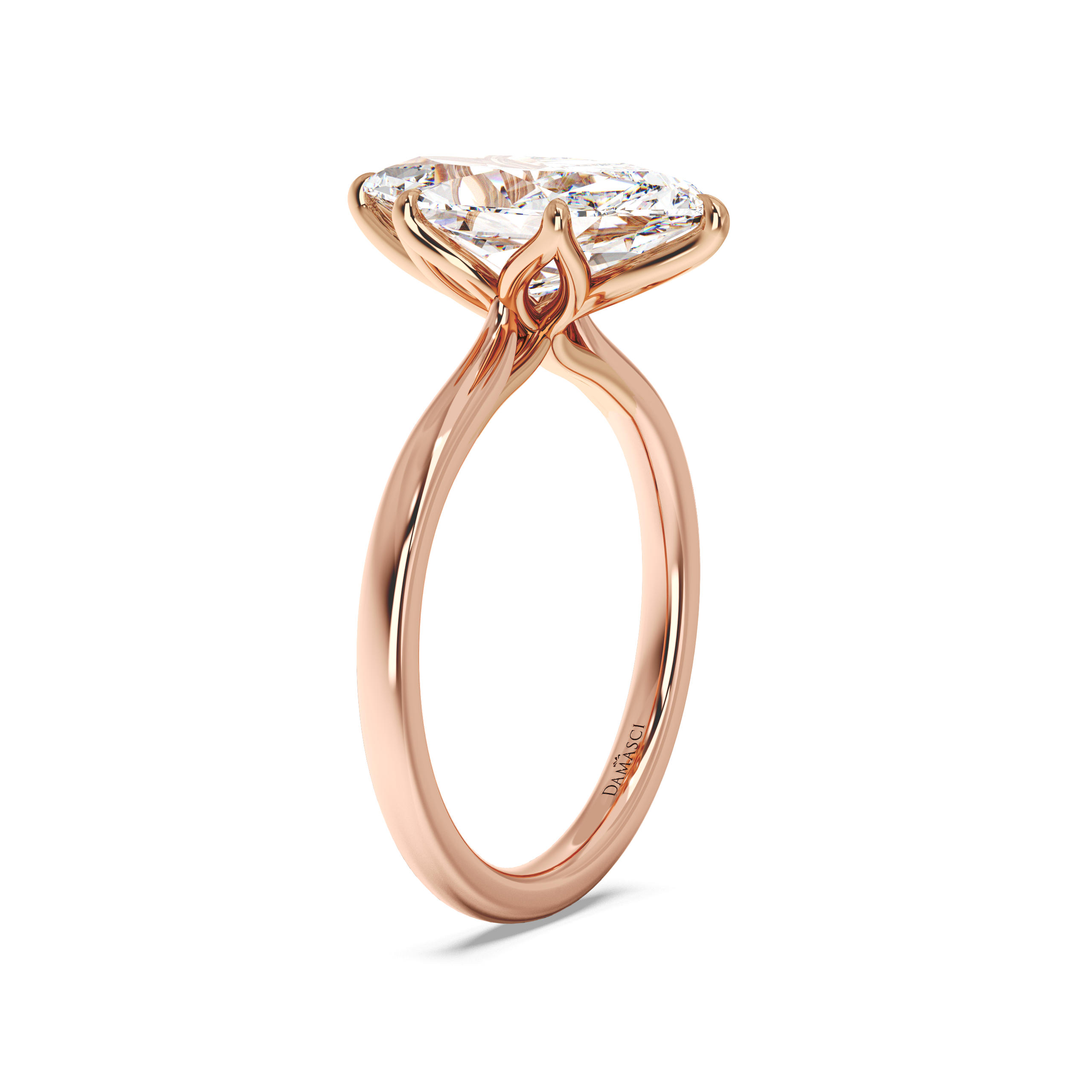 rose-dutch marquise