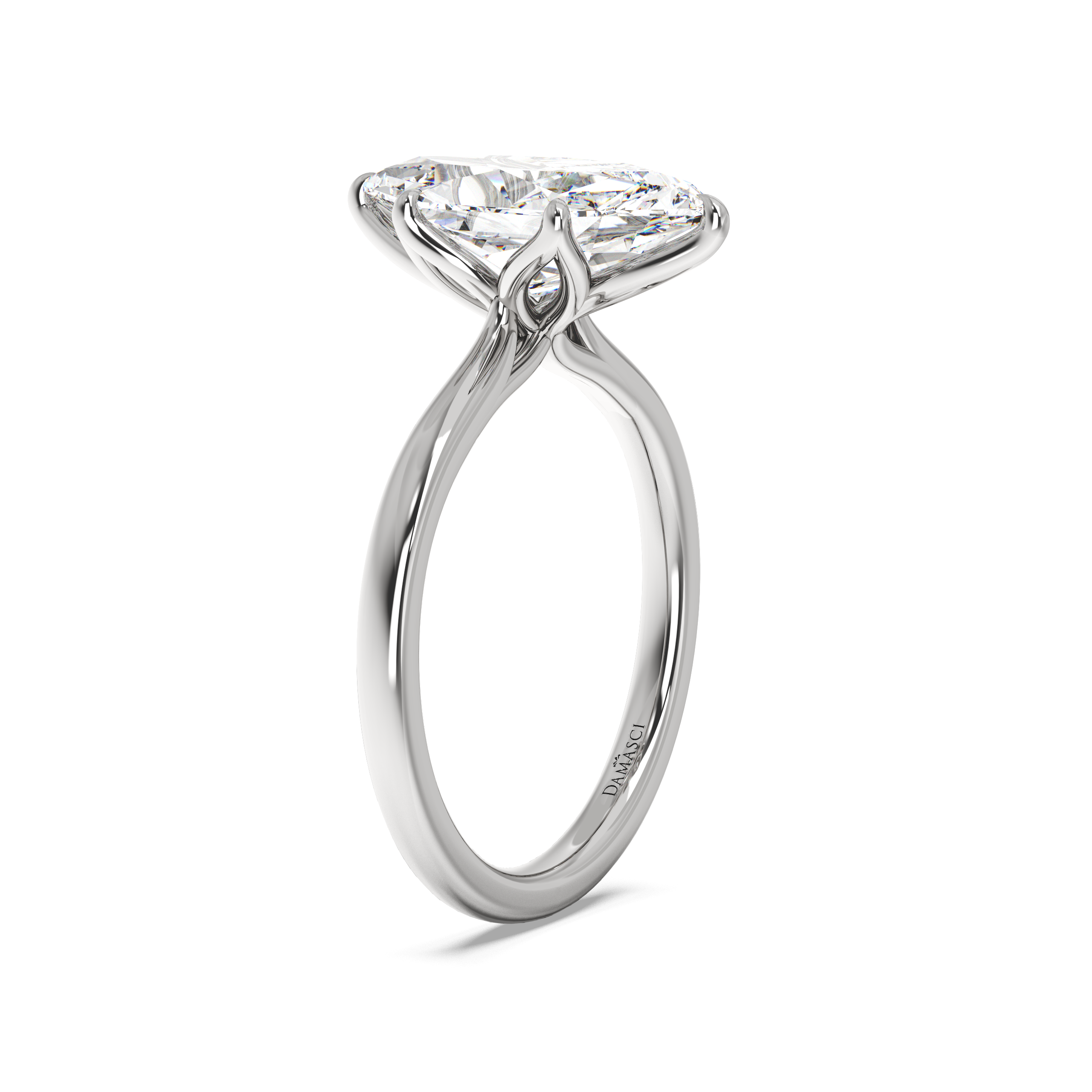 white-dutch marquise