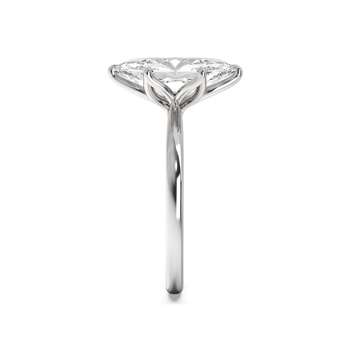 white-dutch marquise