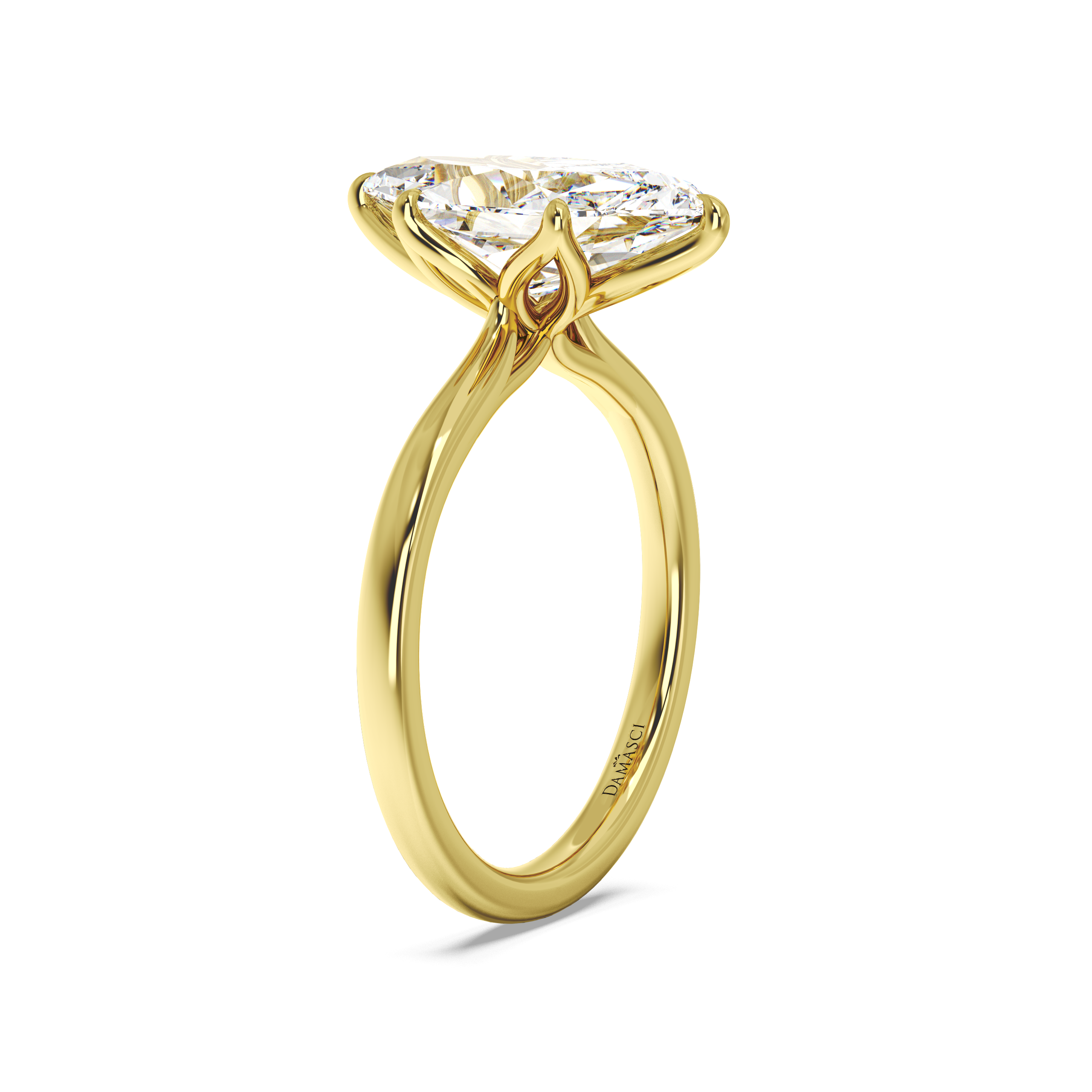 yellow-dutch marquise