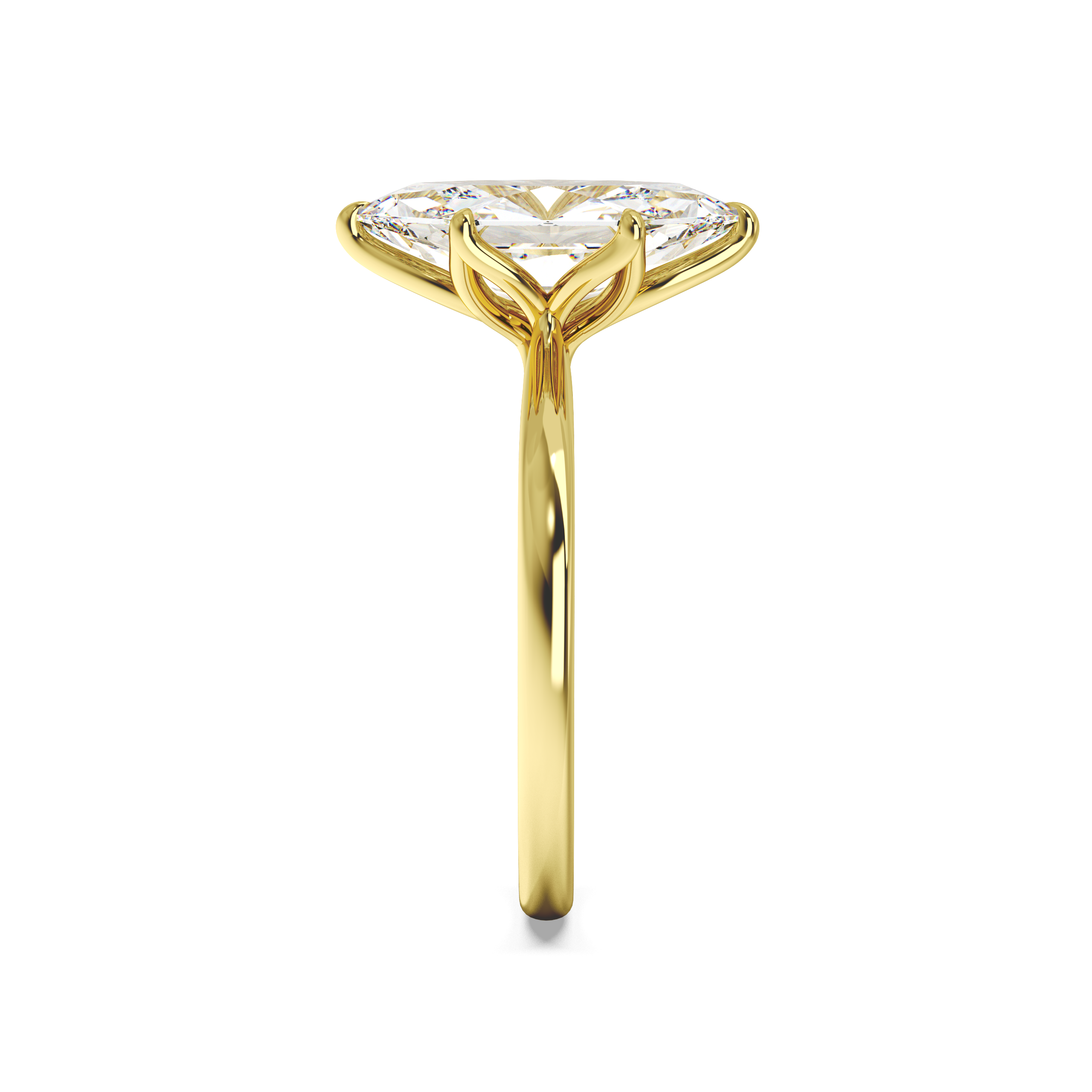 yellow-dutch marquise