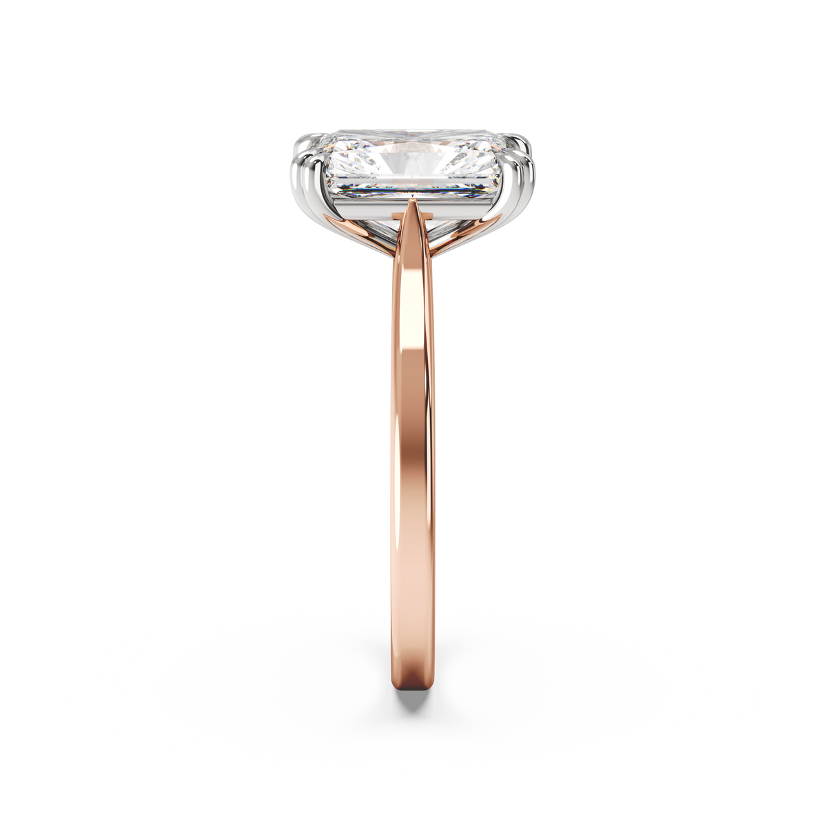 whiterose-radiant