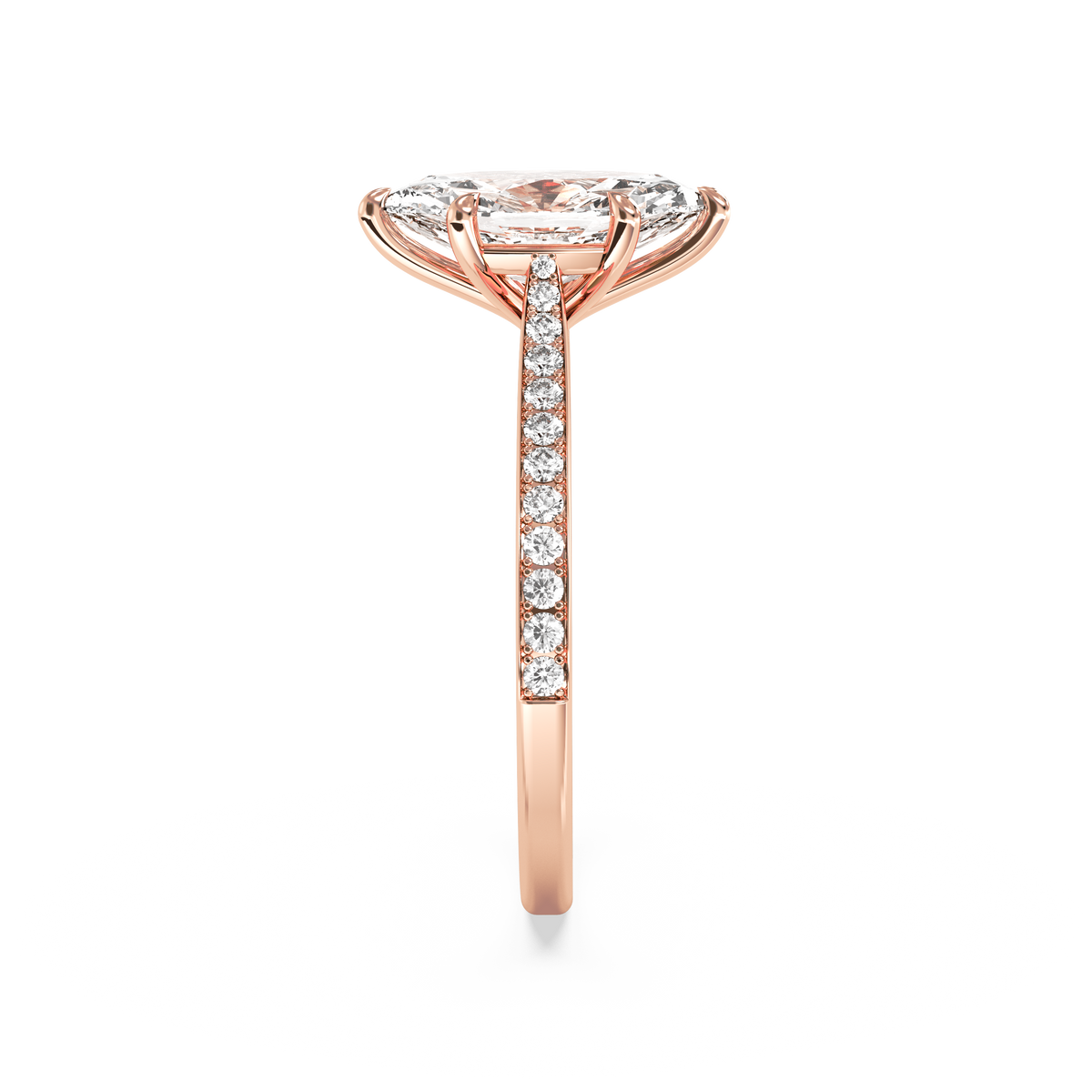 rose-marquise