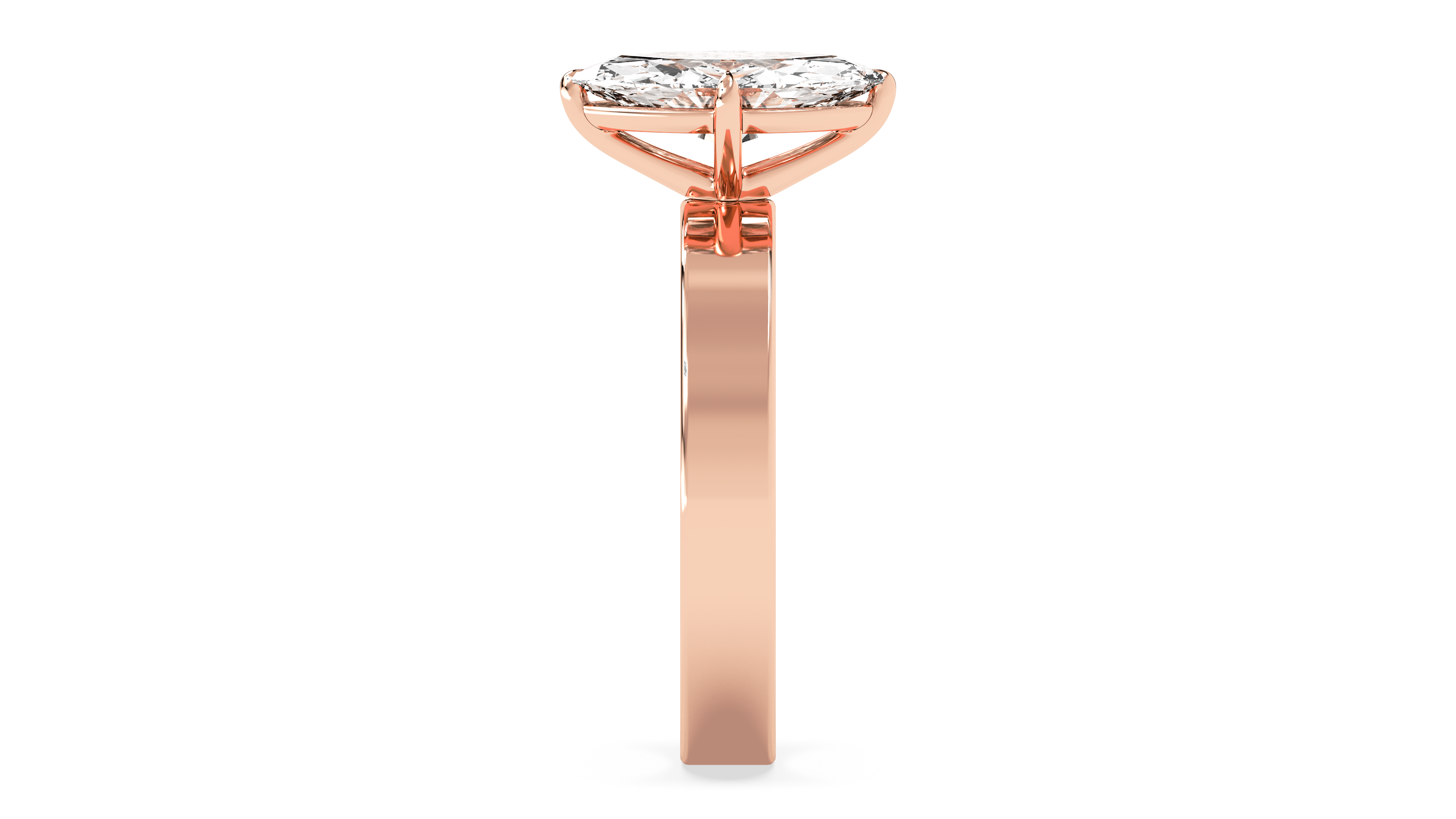 rose-marquise