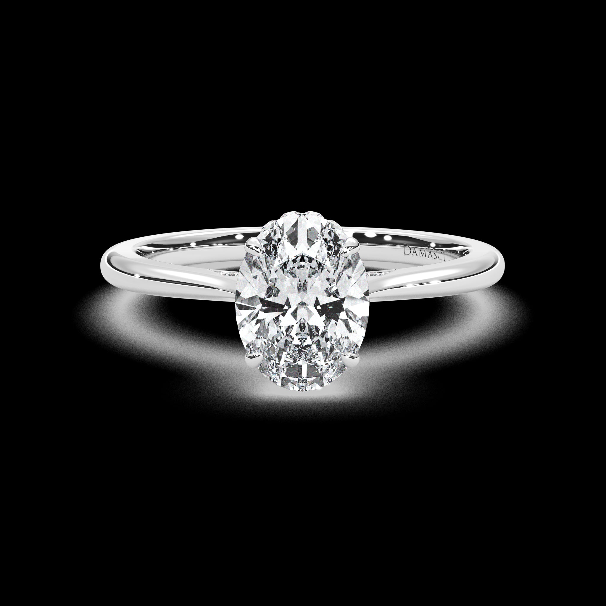 Hidden Halo Elevated Ring with Diamond Bridge - Oval