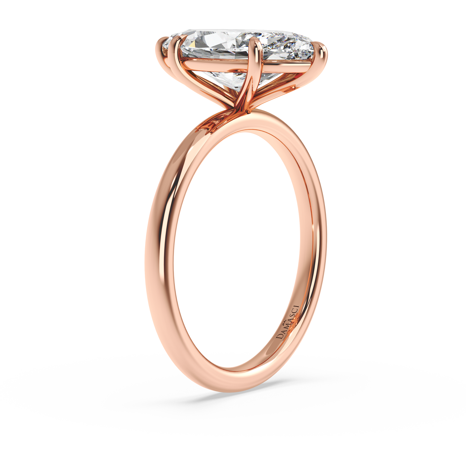rose-marquise