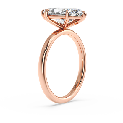 rose-marquise