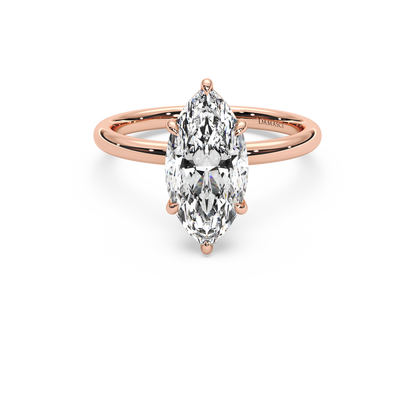 rose-marquise