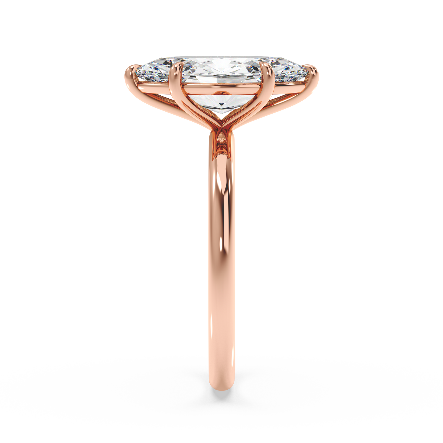 rose-marquise