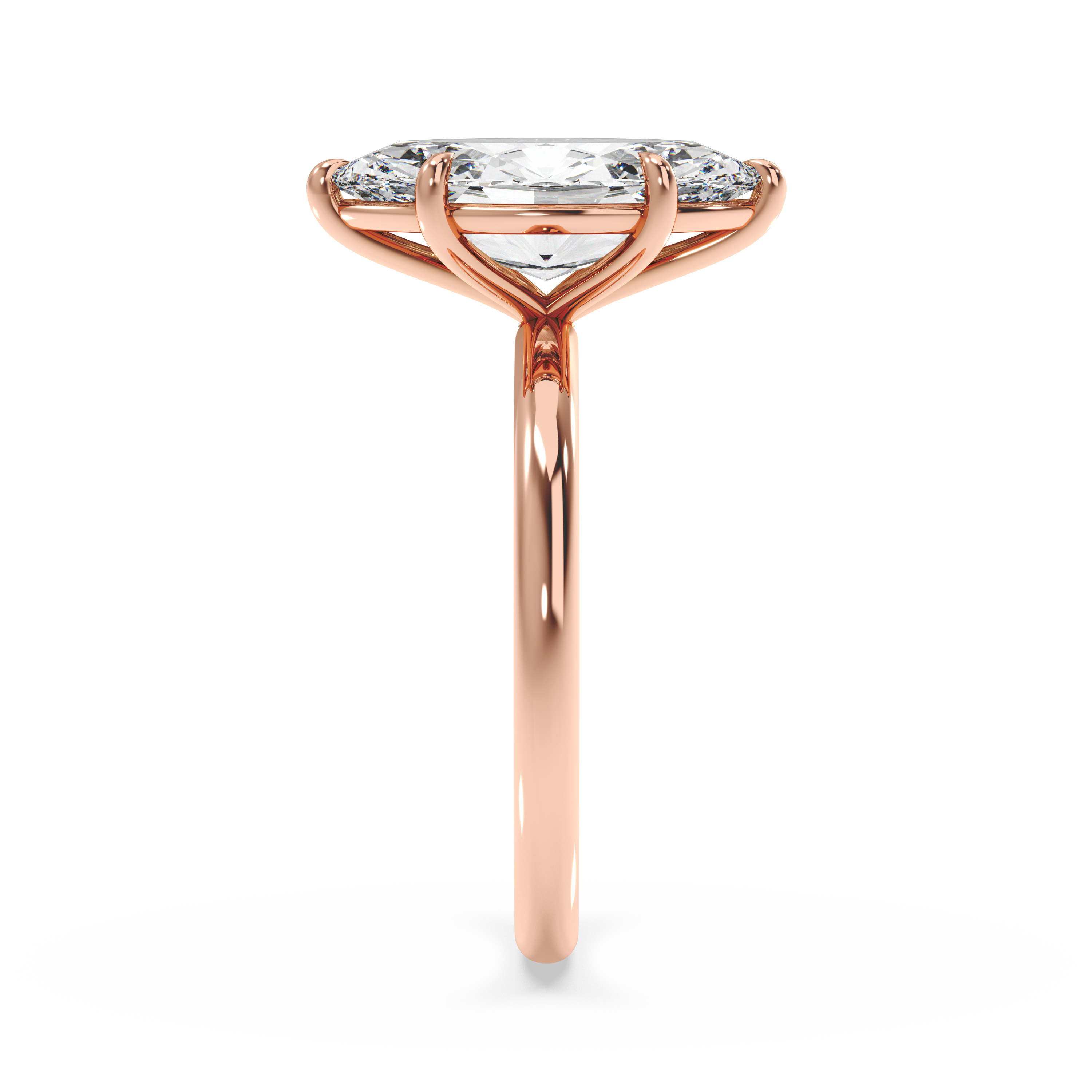 rose-marquise