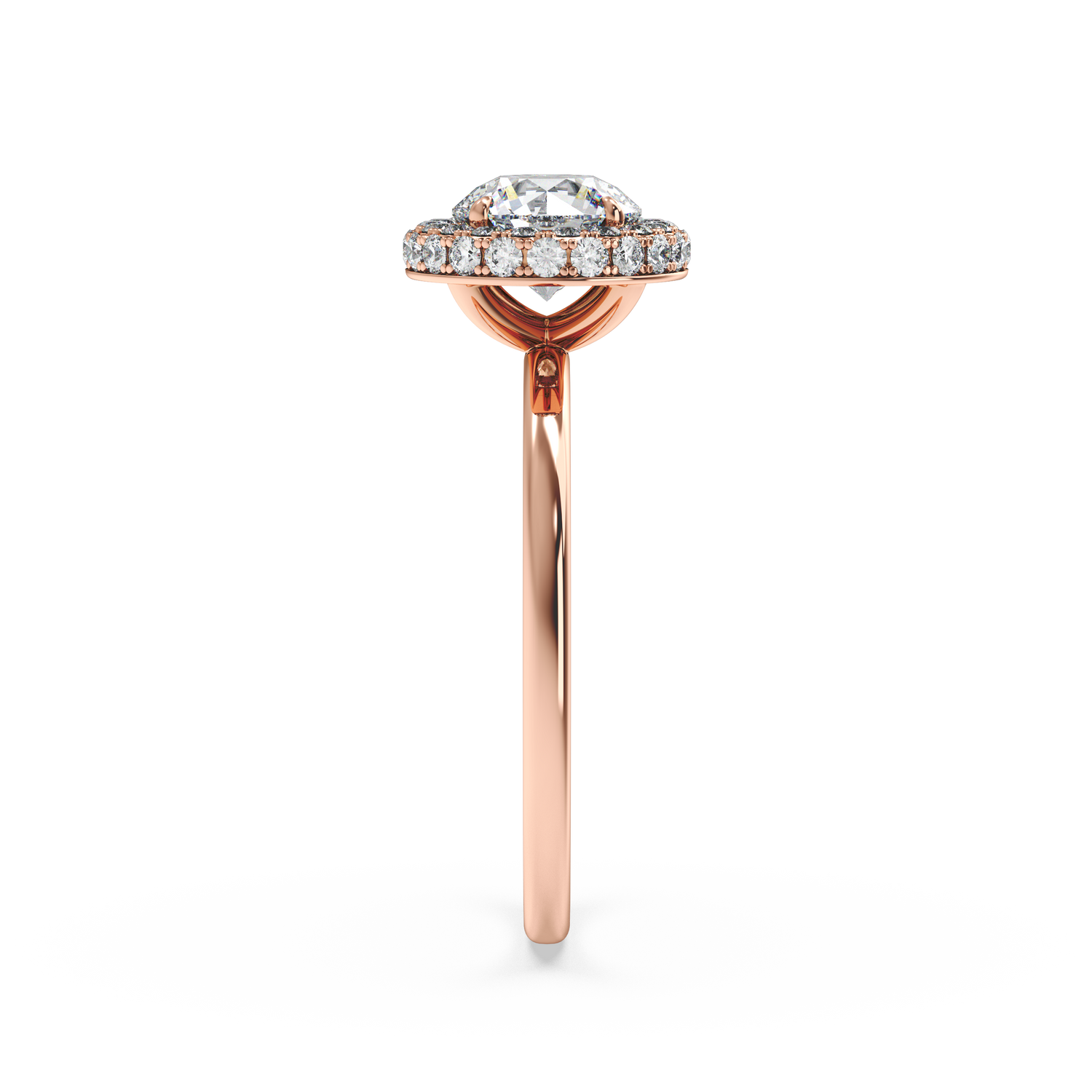 rose-round