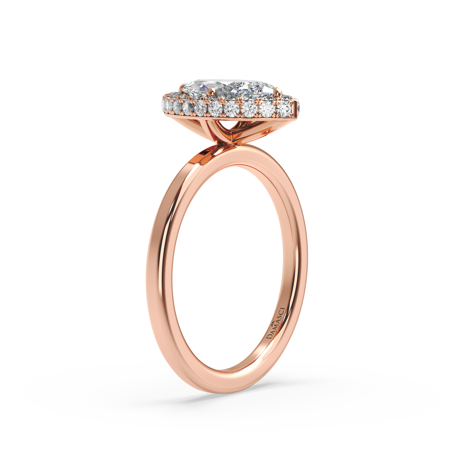 rose-marquise