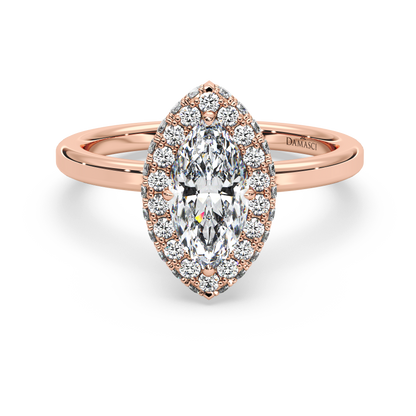 rose-marquise