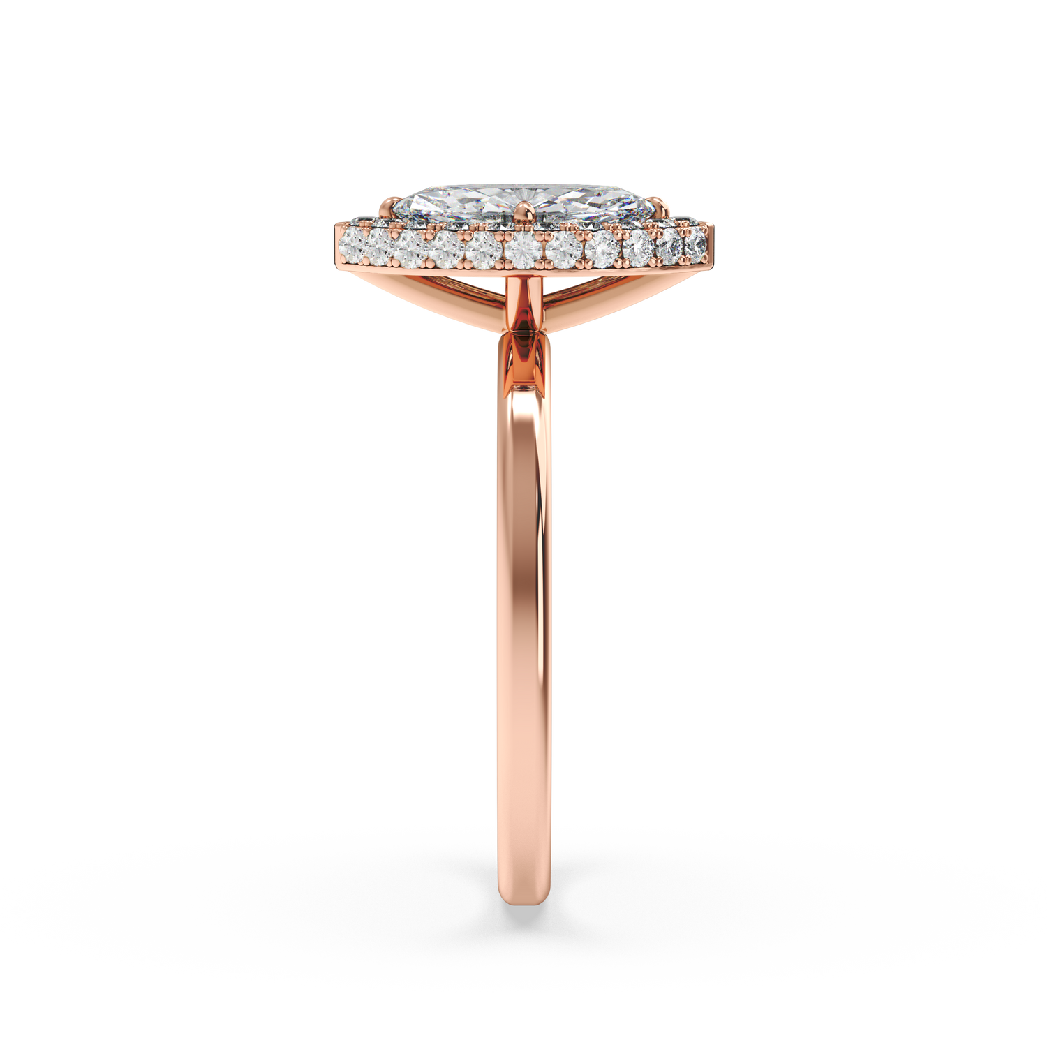 rose-marquise