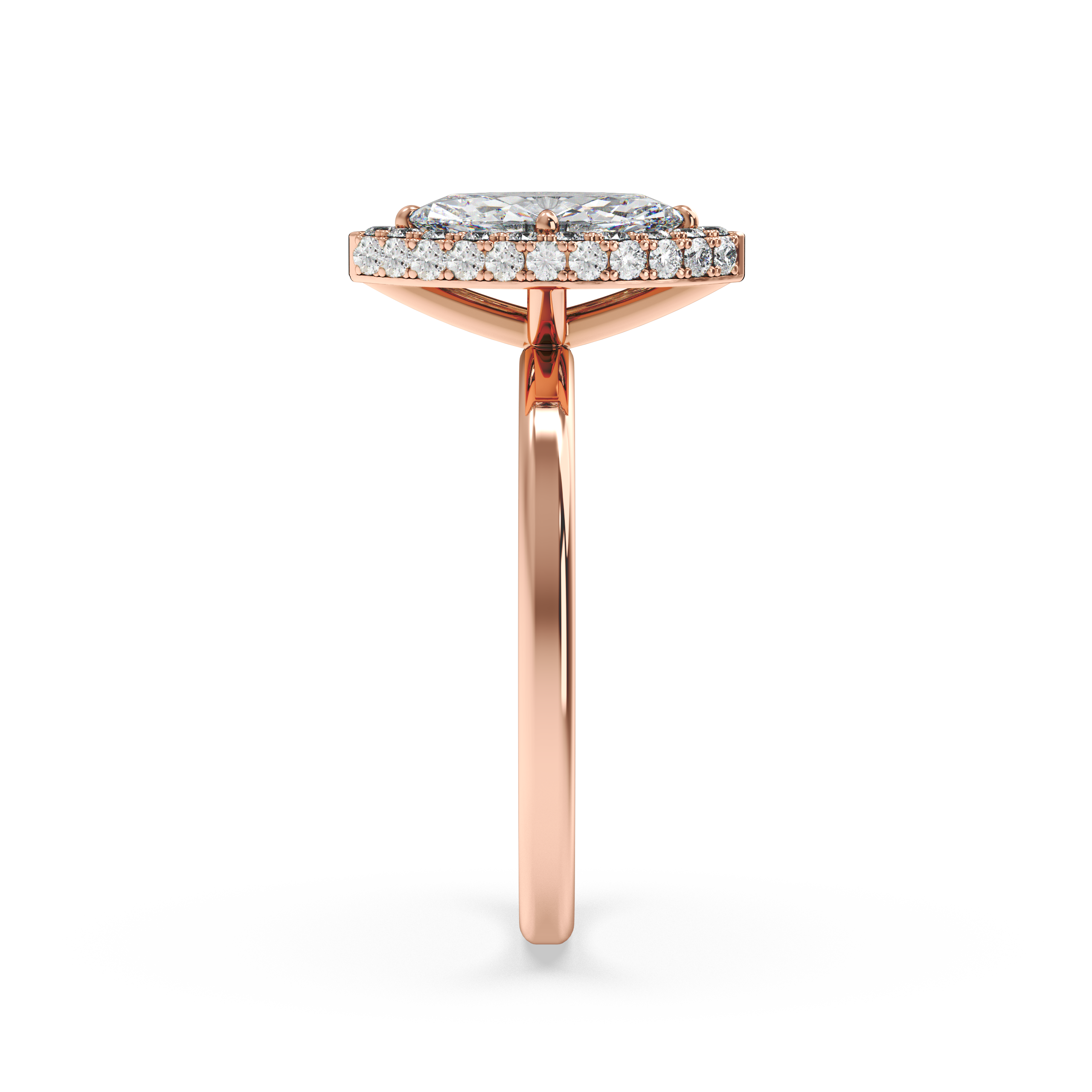 rose-marquise