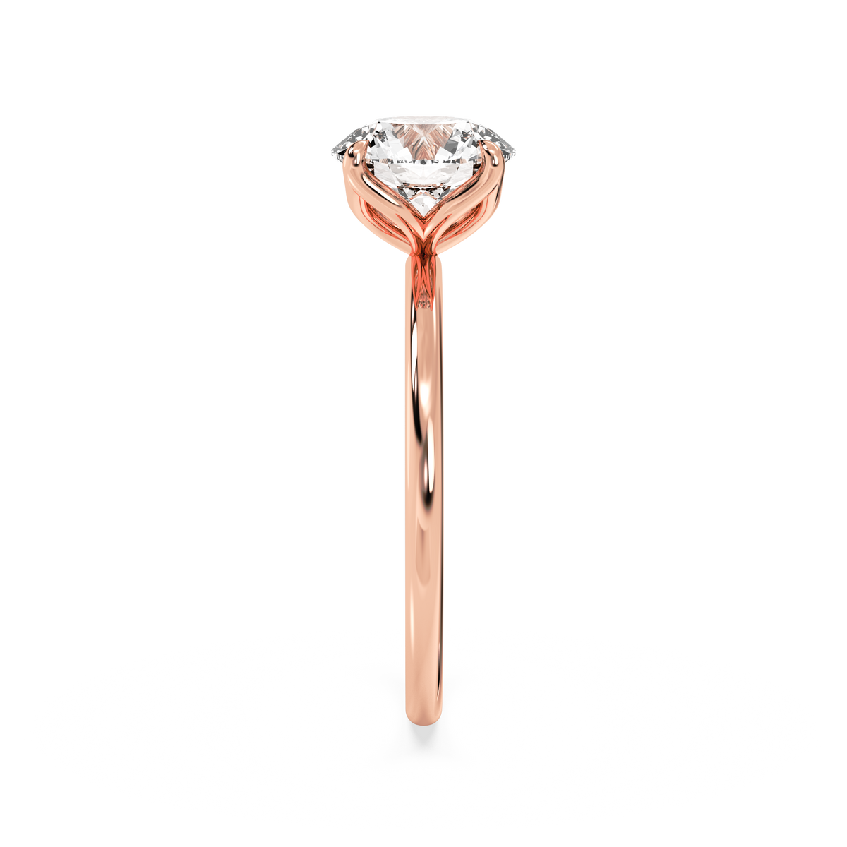 rose-round