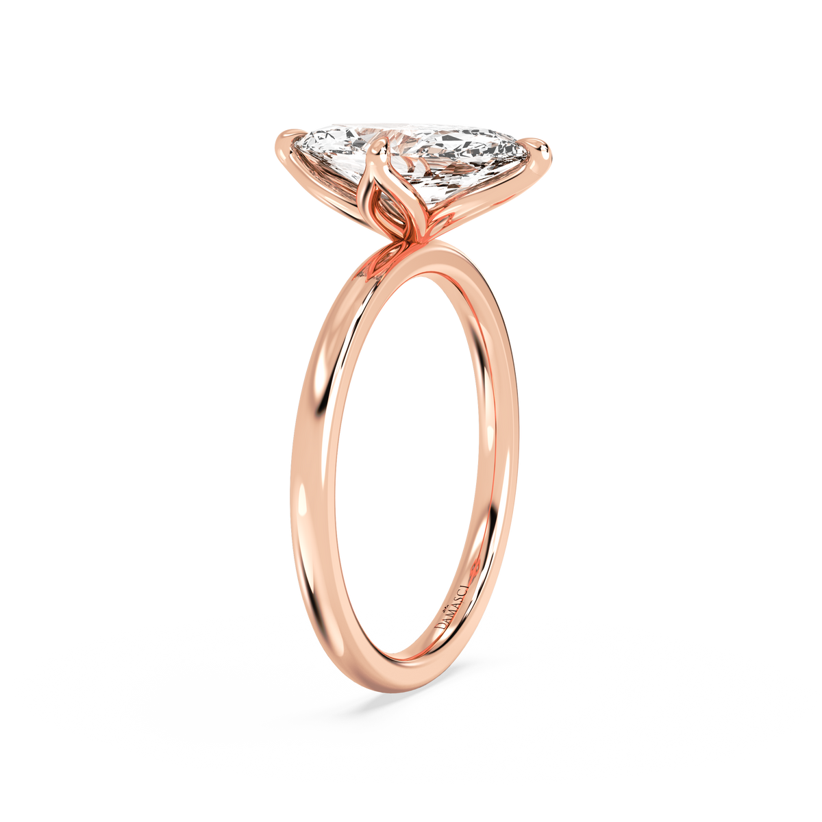 rose-marquise