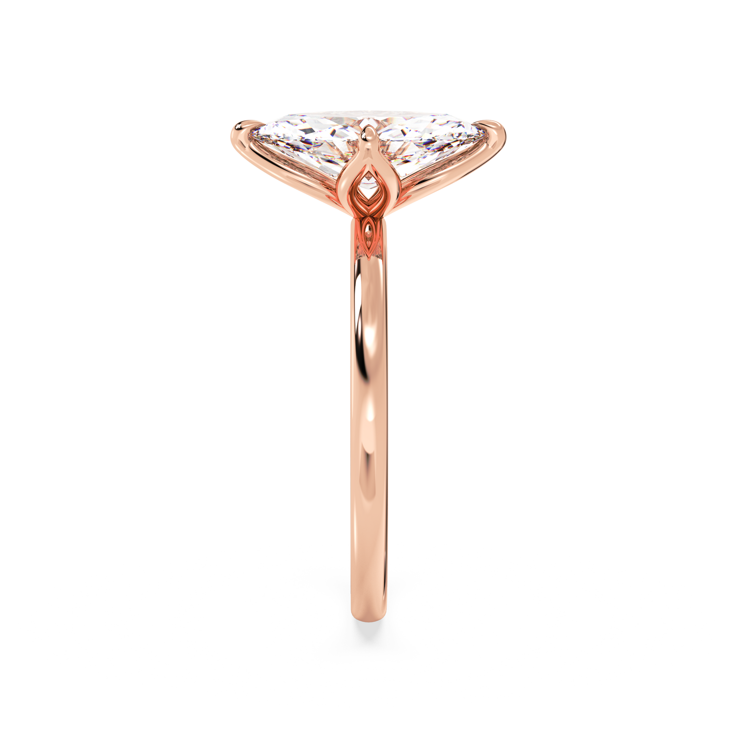 rose-marquise