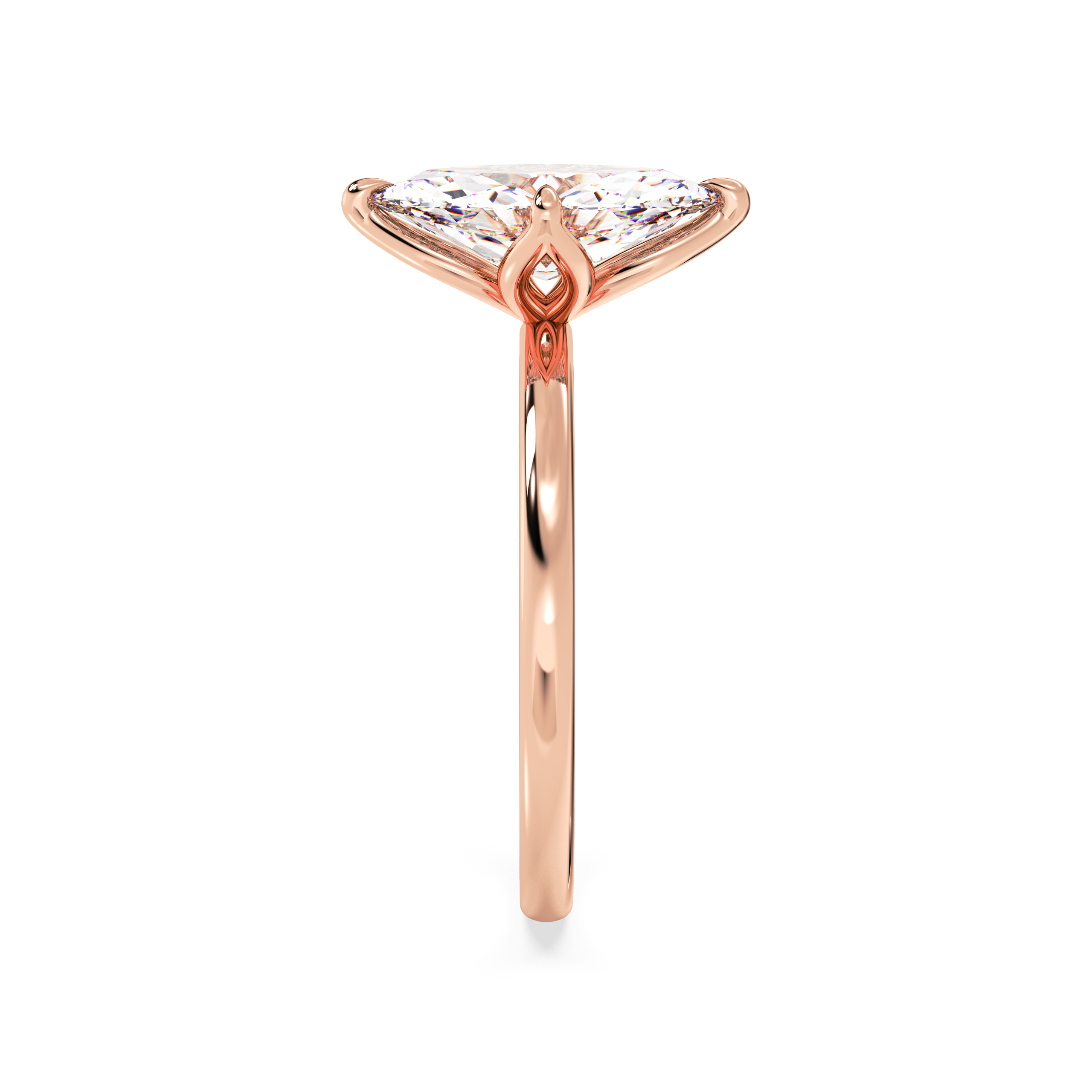 rose-marquise