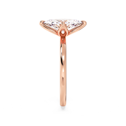 rose-marquise