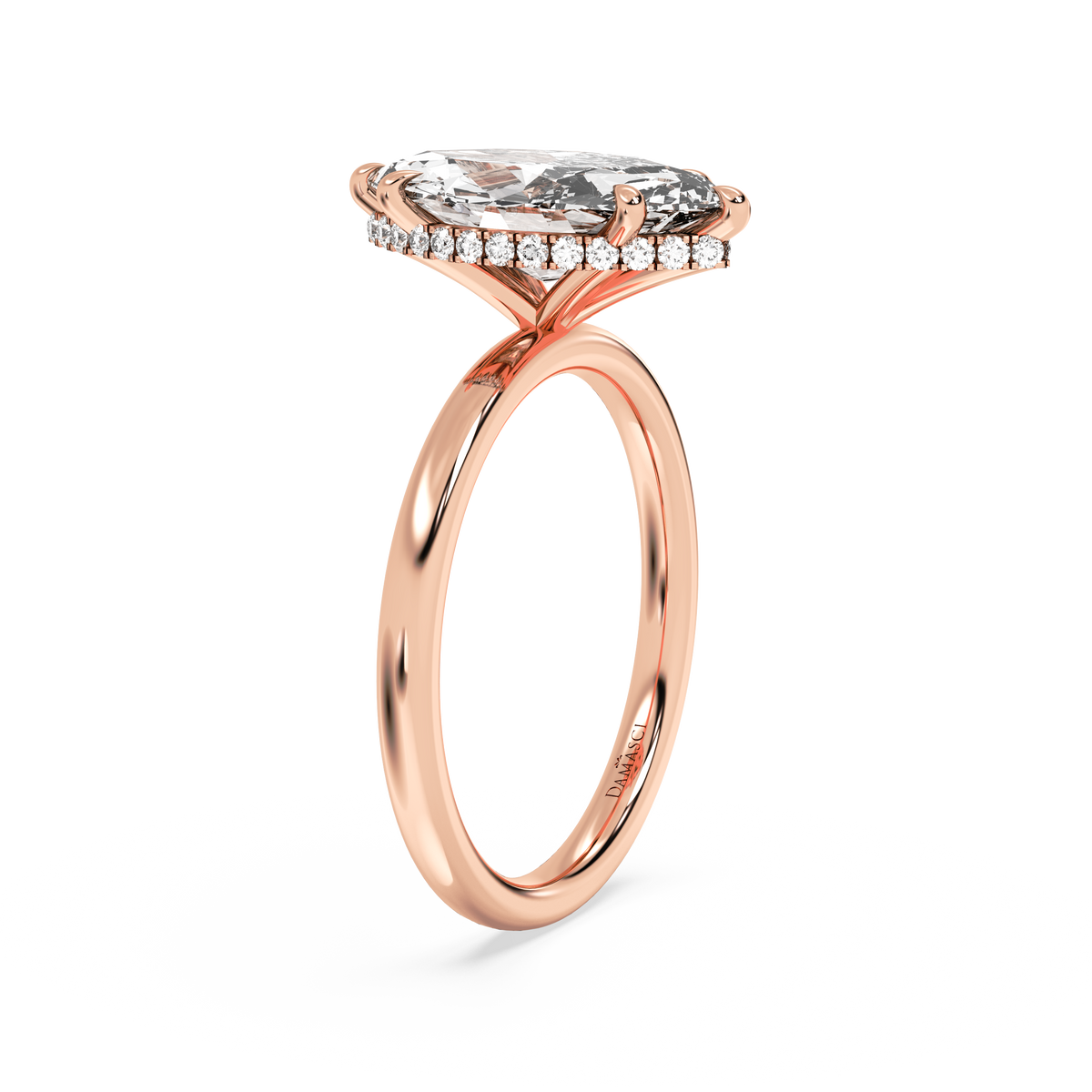 rose-marquise