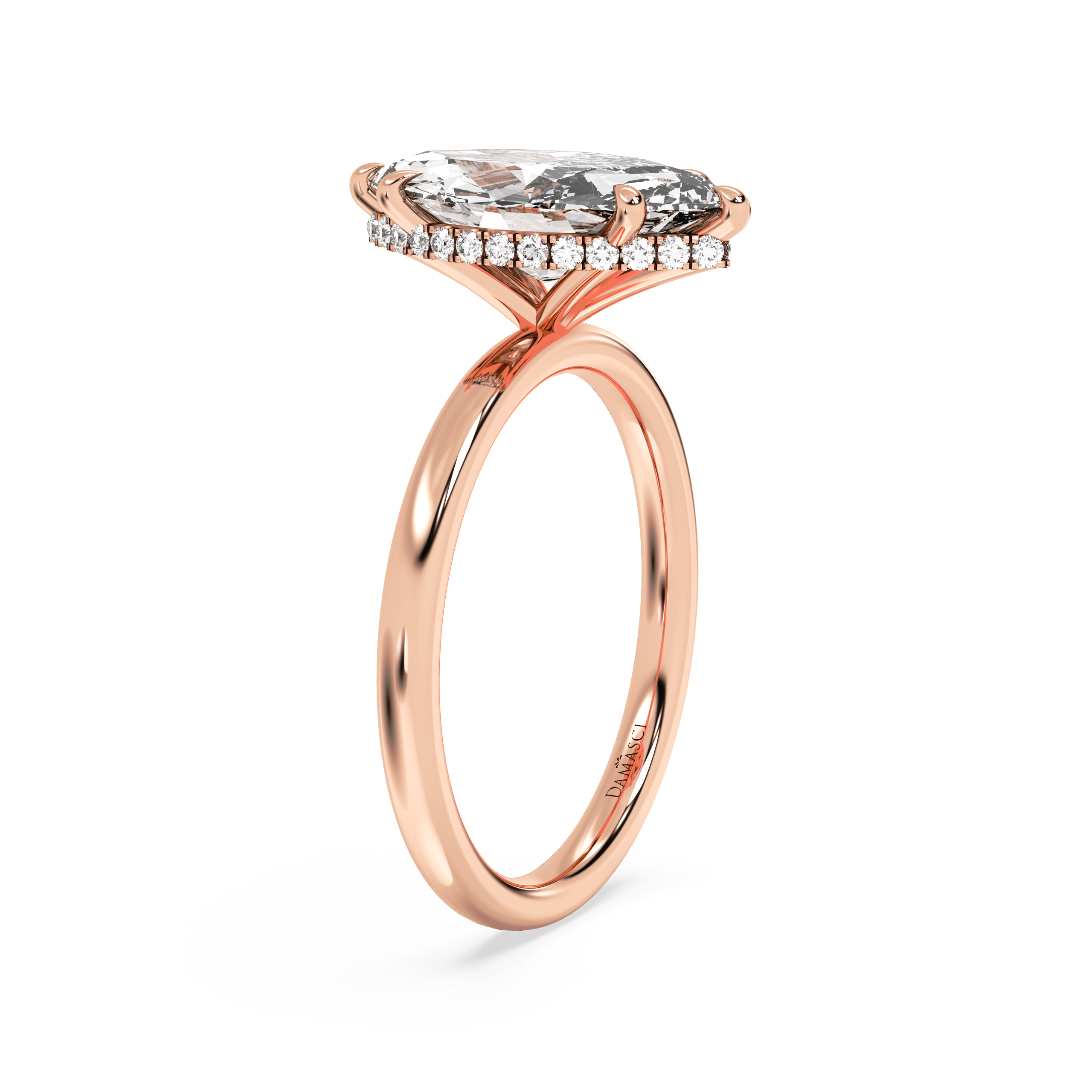 rose-marquise
