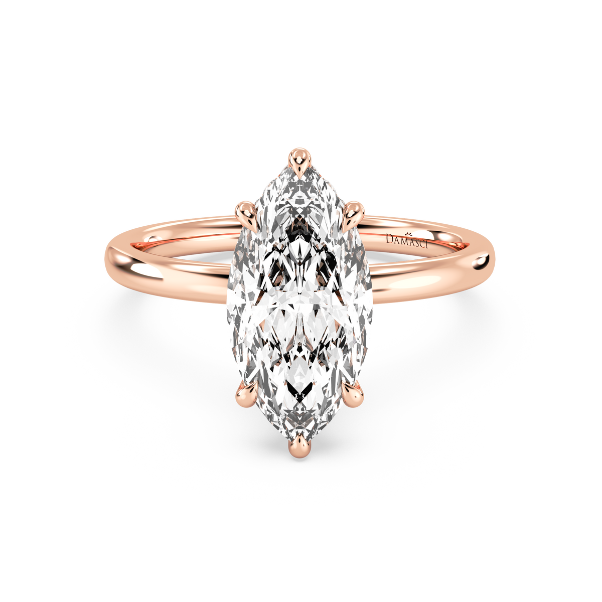 rose-marquise