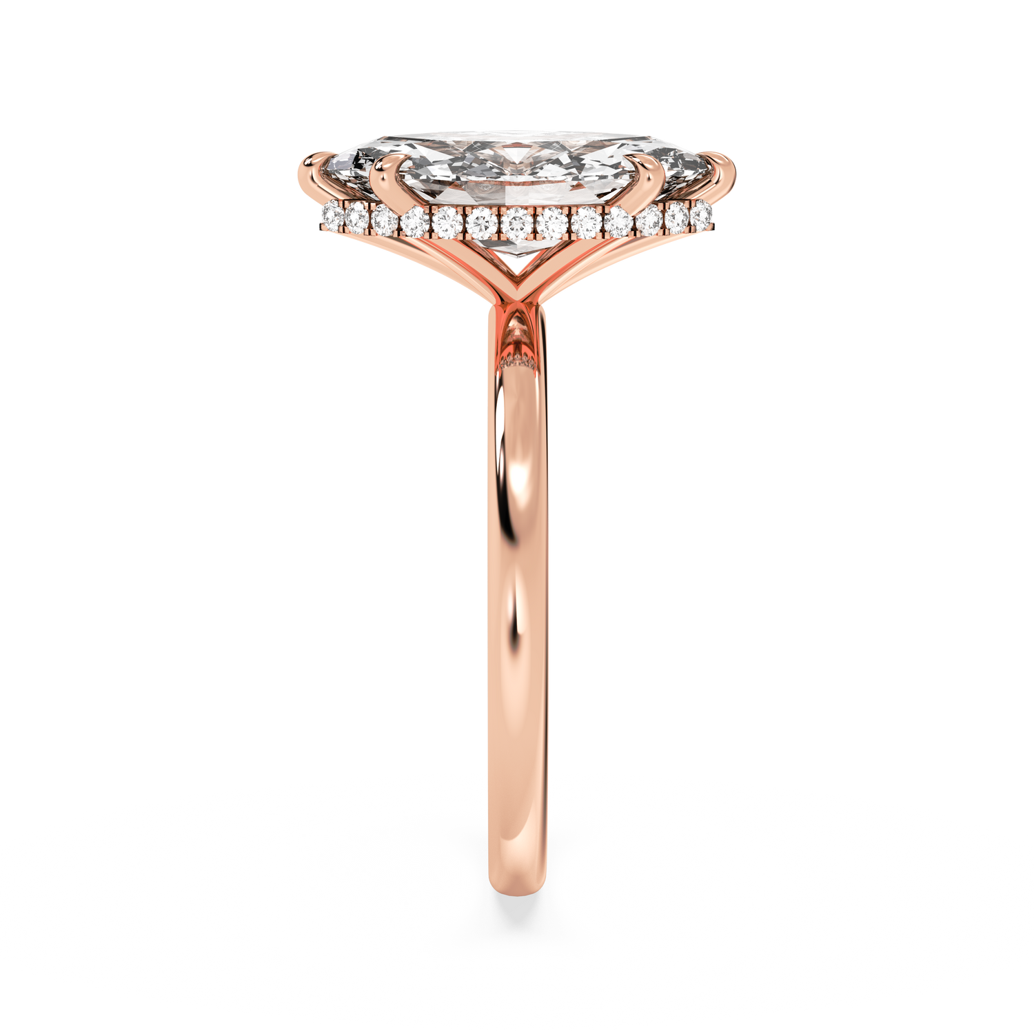 rose-marquise