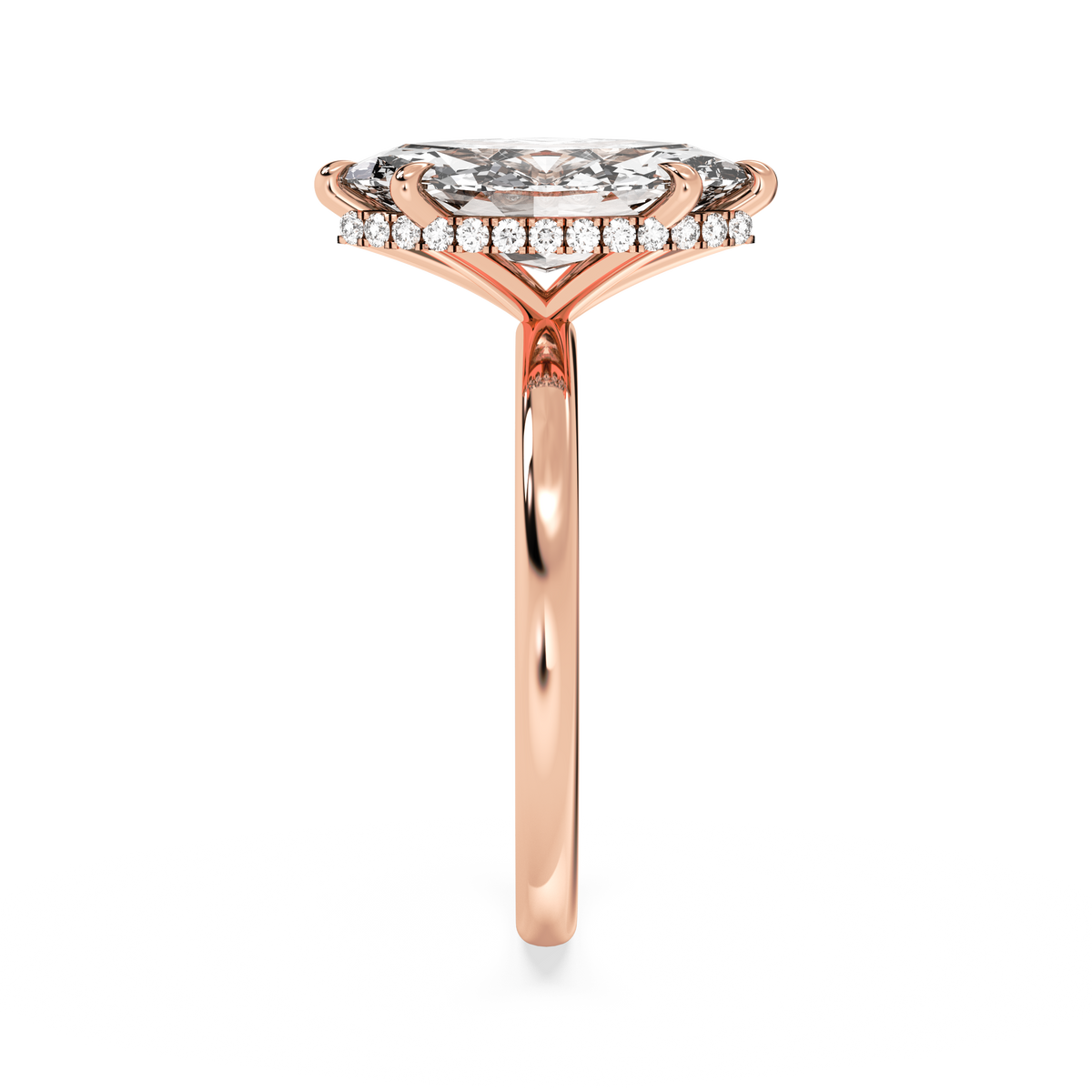 rose-marquise