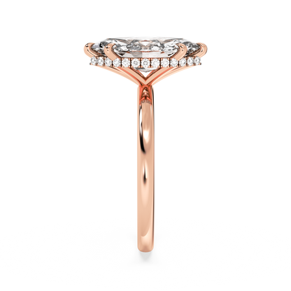 rose-marquise