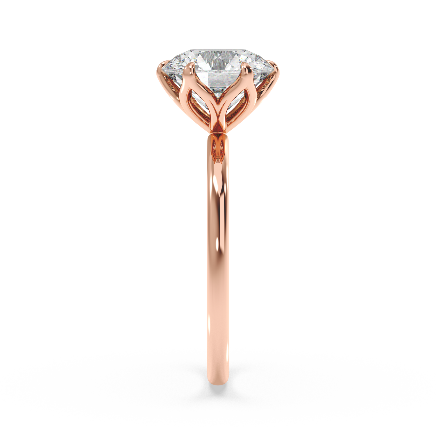 rose-round