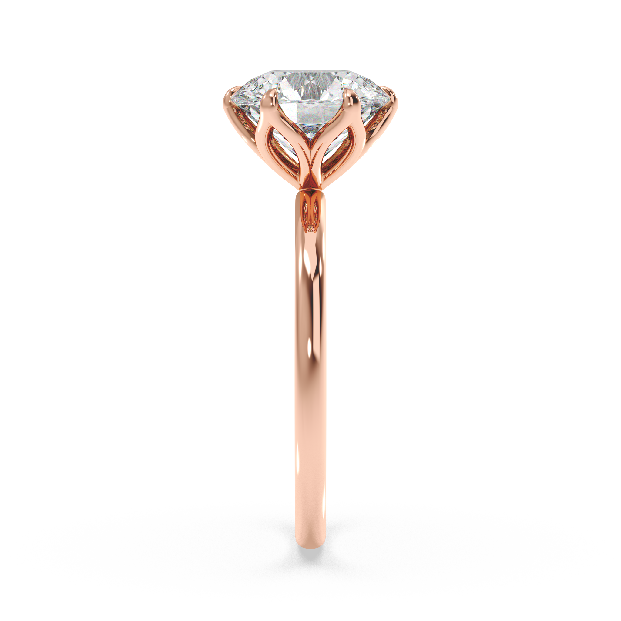 rose-round
