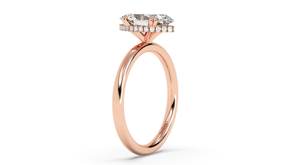 rose-marquise