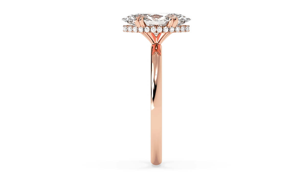 rose-marquise