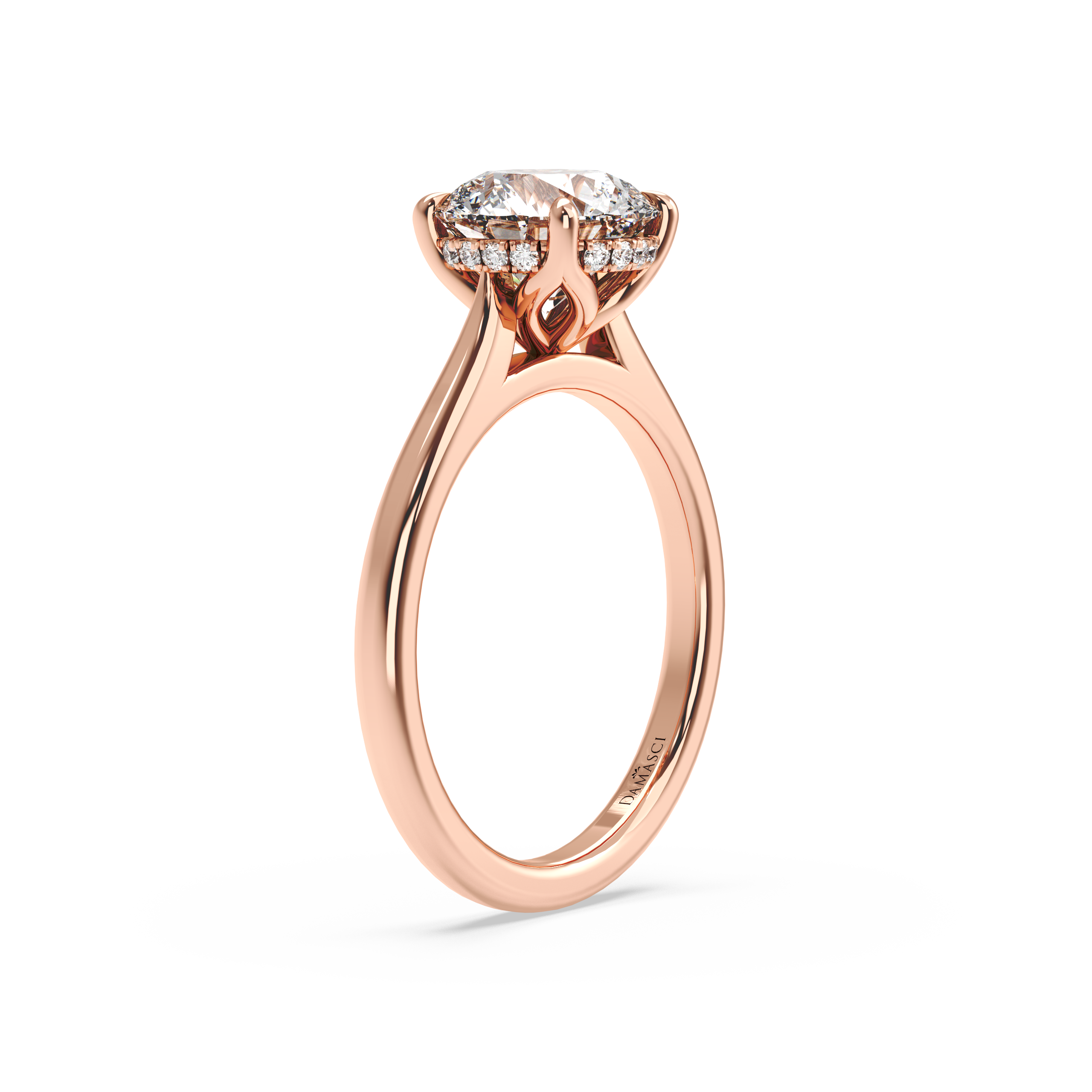 rose-round